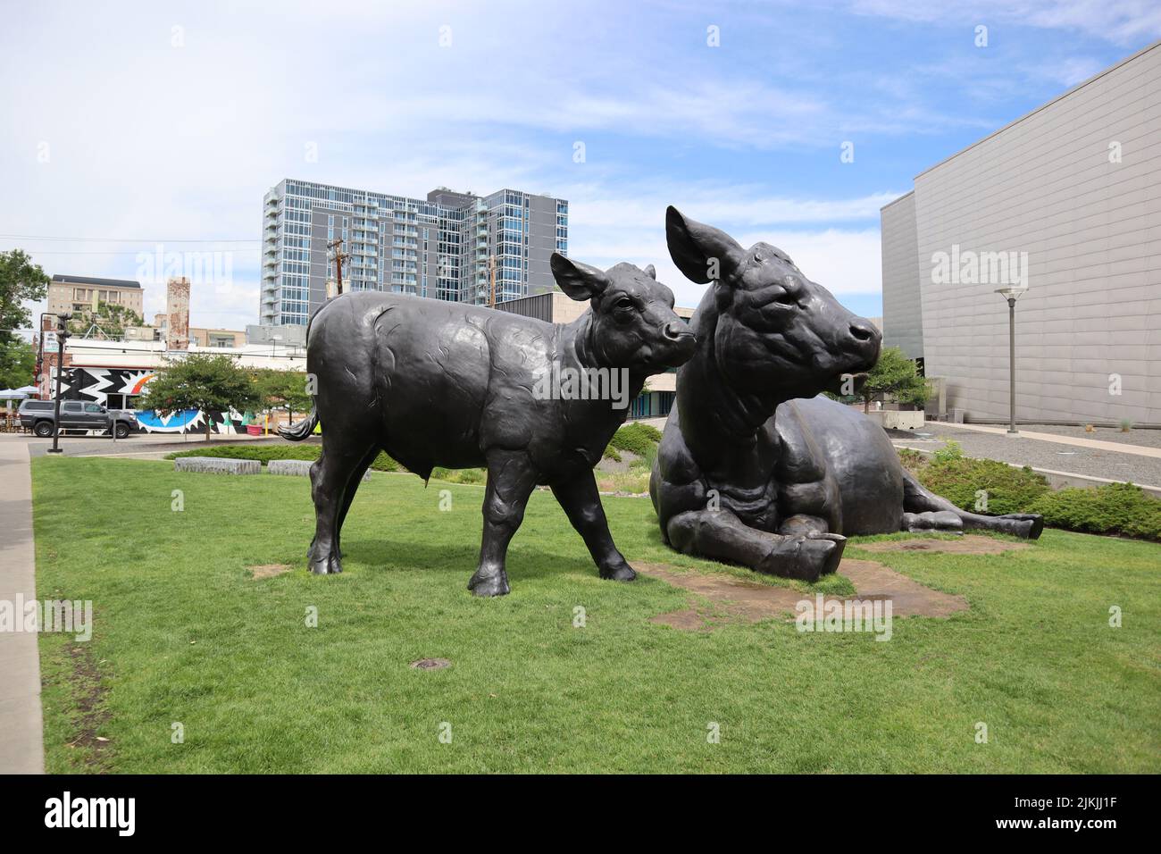 Un primo piano delle statue della mucca scozzese di Angus e del vitello. Denver, Colorado. Foto Stock