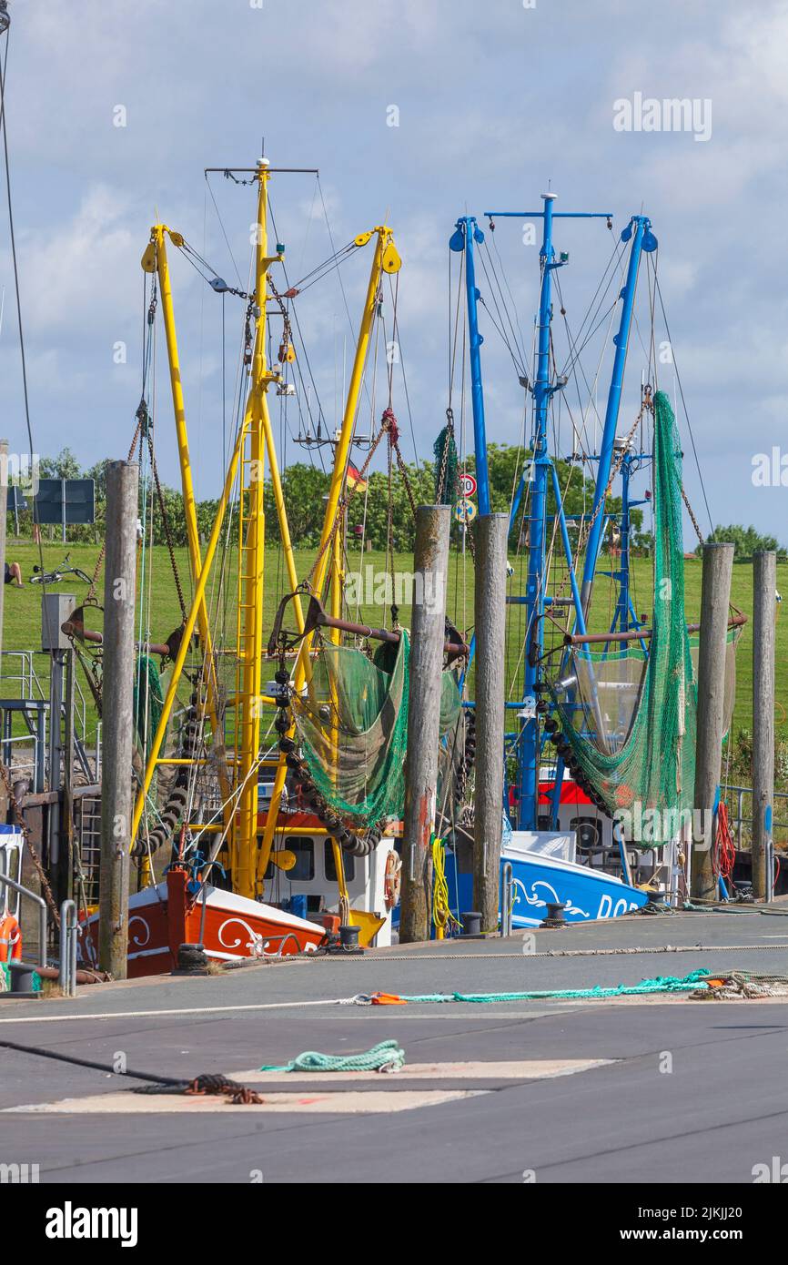 Kutterhafen, Dorumer Neufeld, Dorum, bassa Sassonia, Germania, Europa Foto Stock