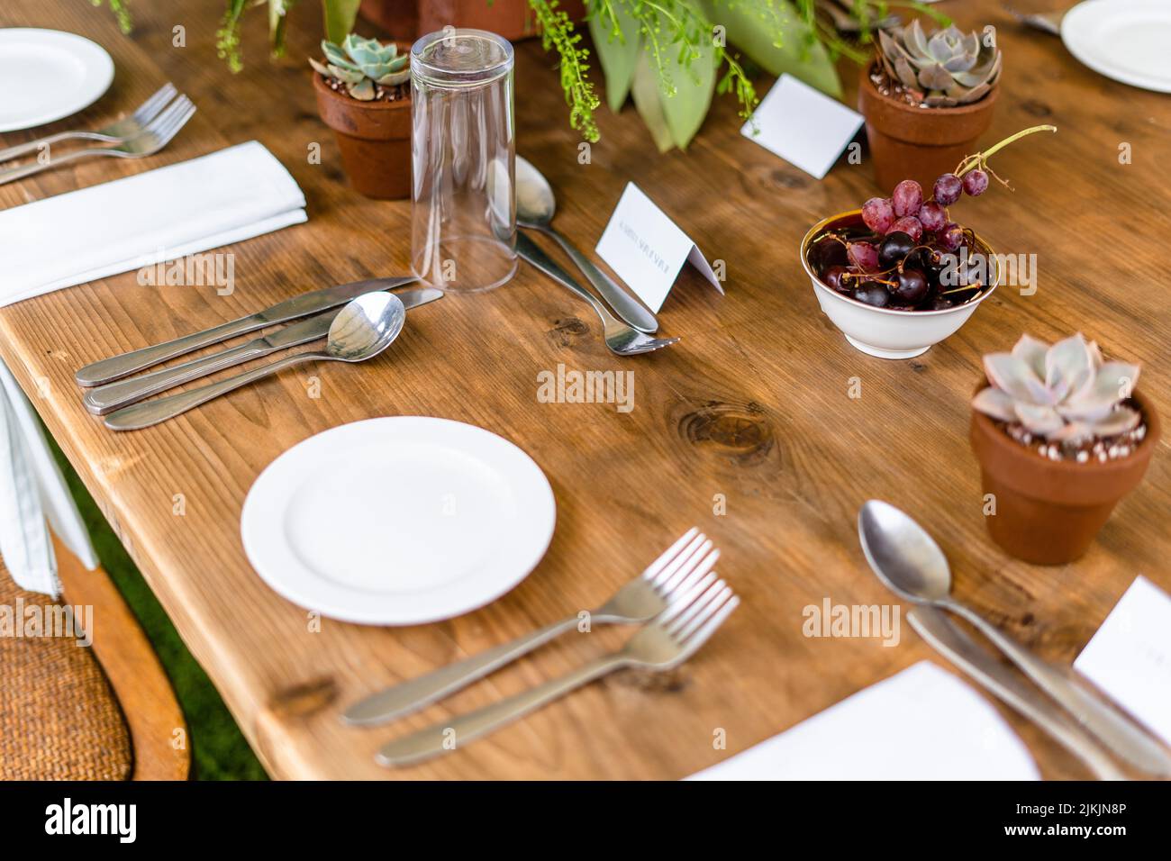 Una cena all'aperto con tavolo da festa in legno con succulenti Foto Stock