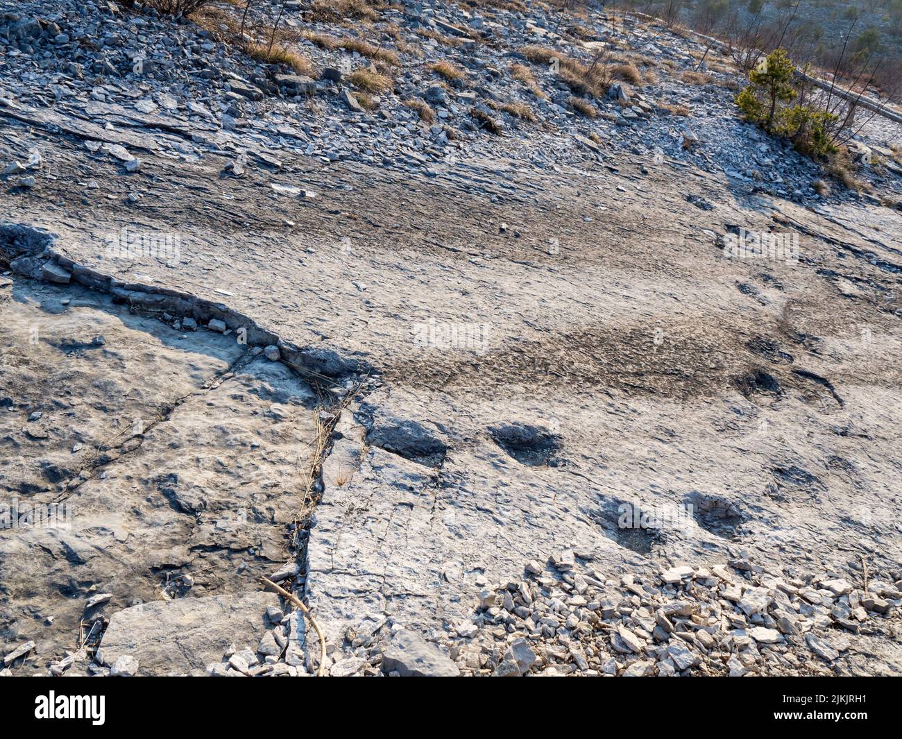 Le orme di un animale in una zona montagnosa Foto Stock