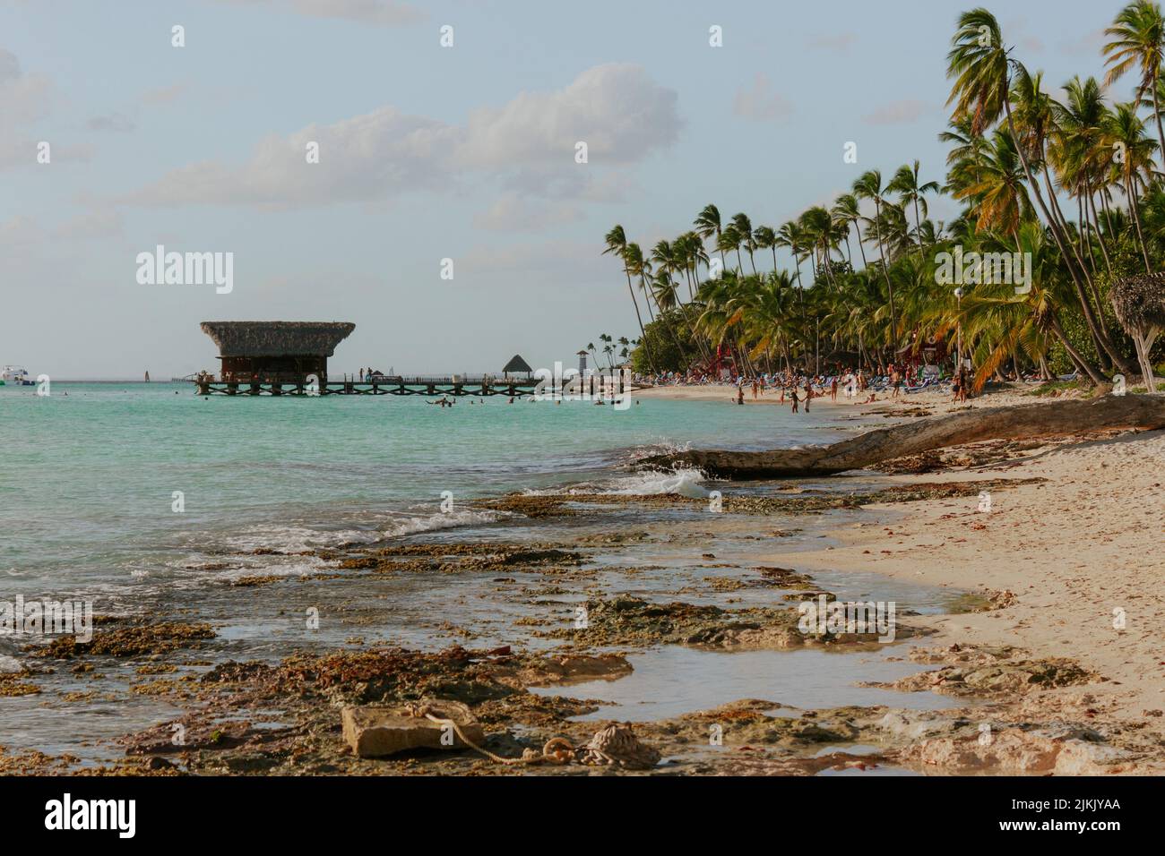 Una spiaggia sabbiosa e fangosa Bayahibe con palme nella Repubblica Dominicana Foto Stock