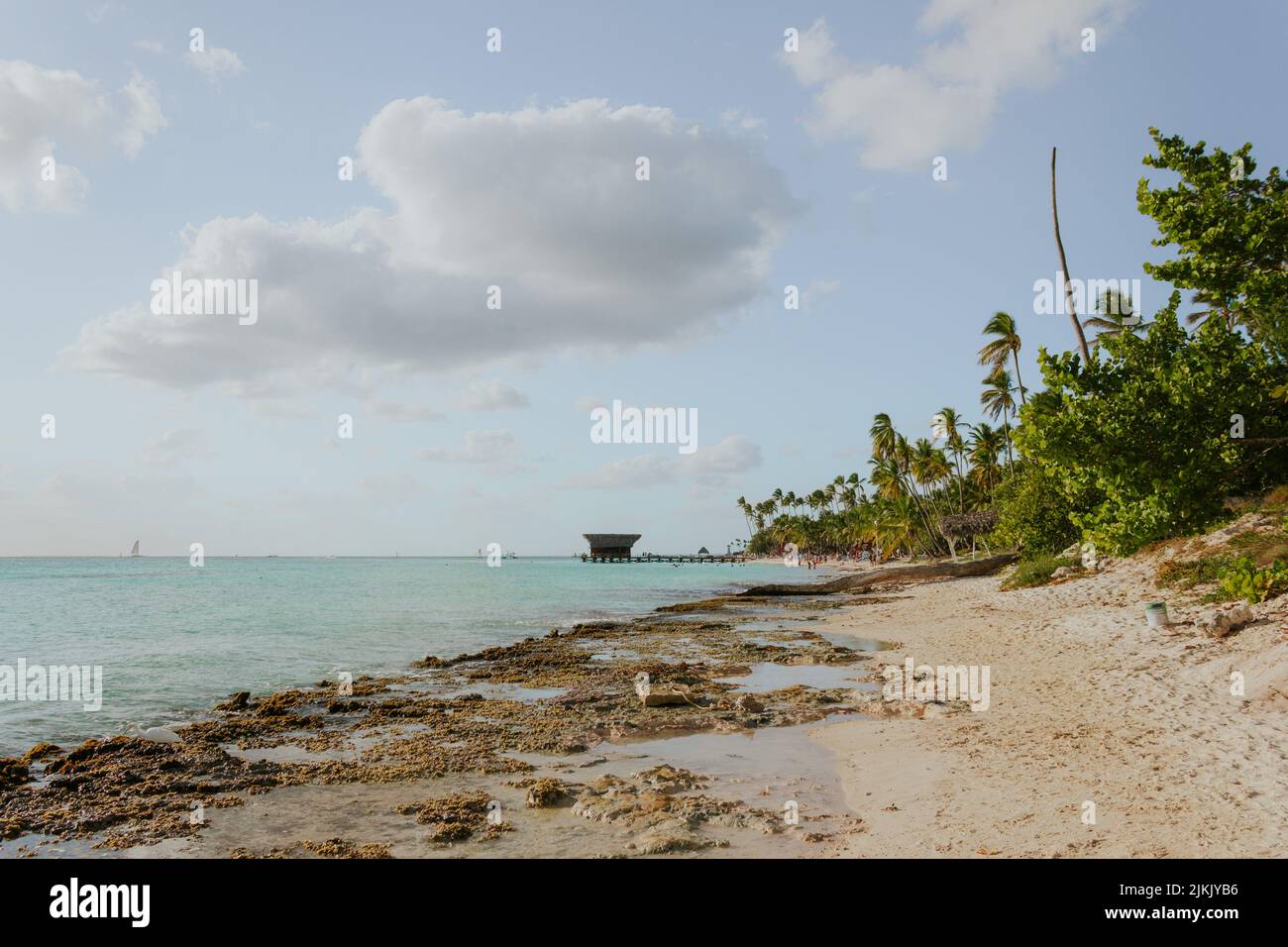La spiaggia soleggiata e tropicale Bayahibe con palme nella Repubblica Dominicana Foto Stock