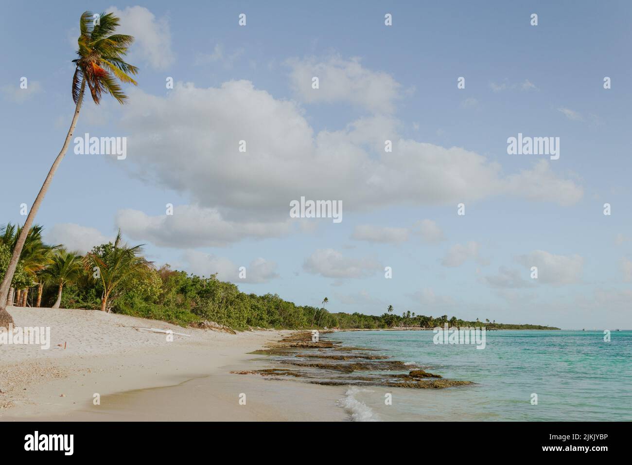 La spiaggia soleggiata e tropicale Bayahibe con palme nella Repubblica Dominicana Foto Stock