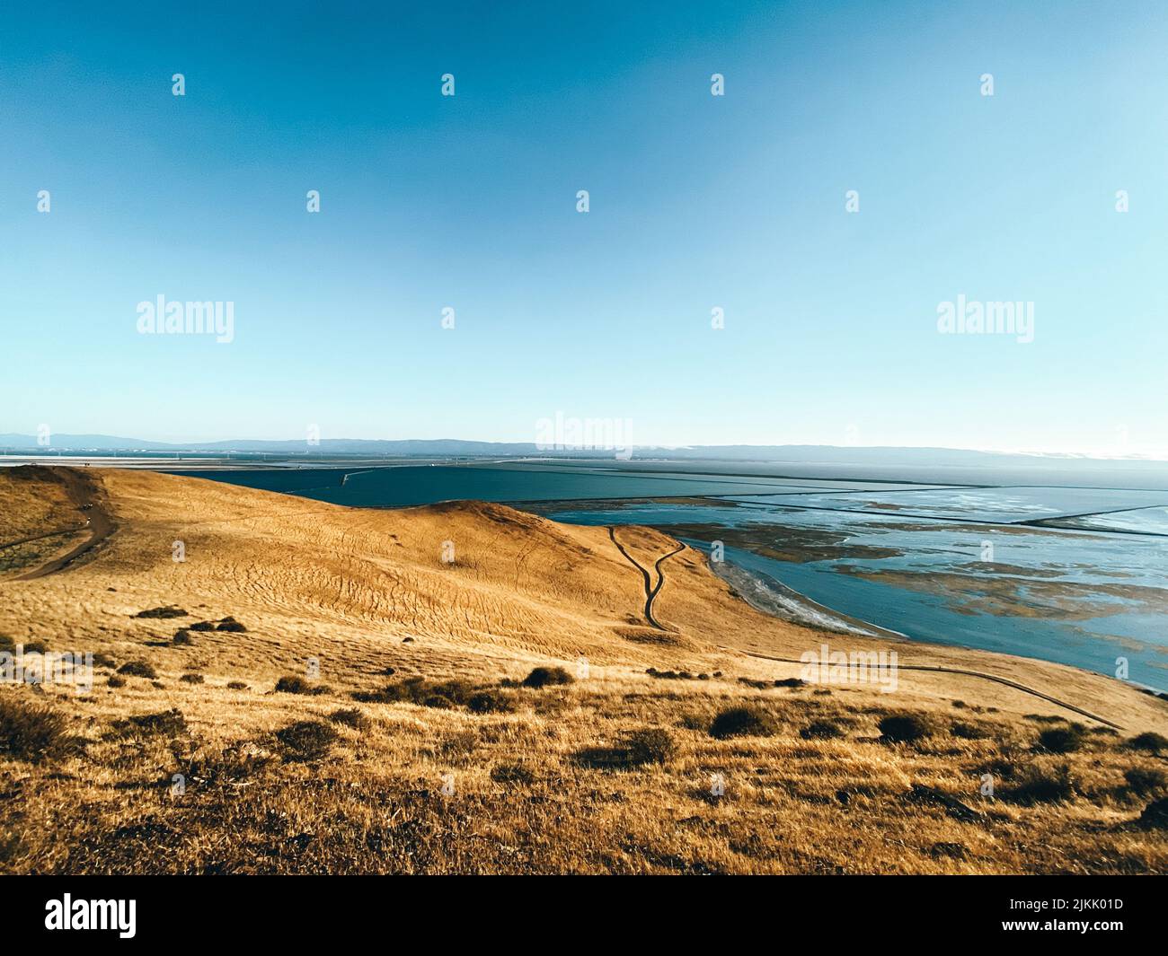 Una vista panoramica delle incredibili colline della coyote sotto il cielo blu Foto Stock