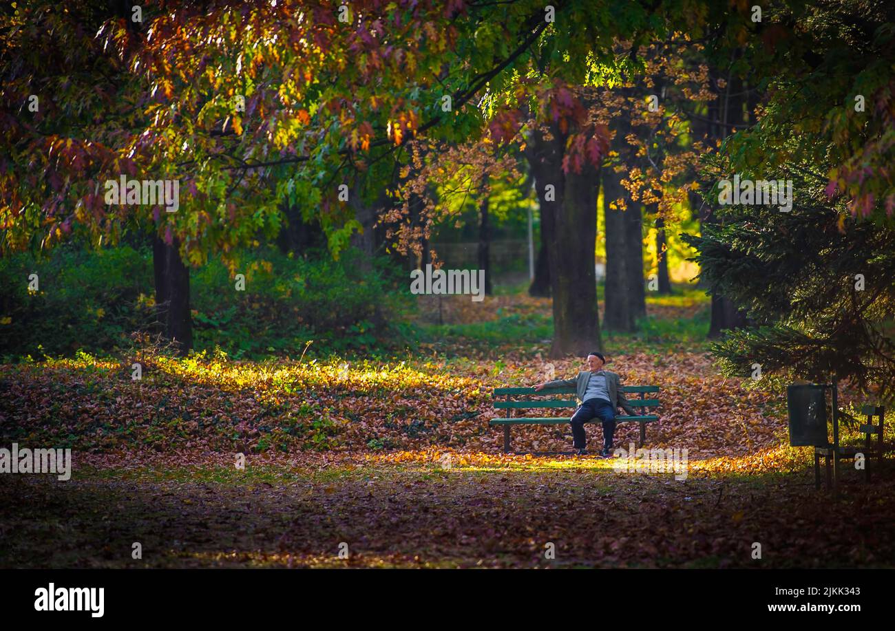 Un bel colpo di un vecchio seduto sulla panchina in autunno parco coperto, il Kosovo Foto Stock