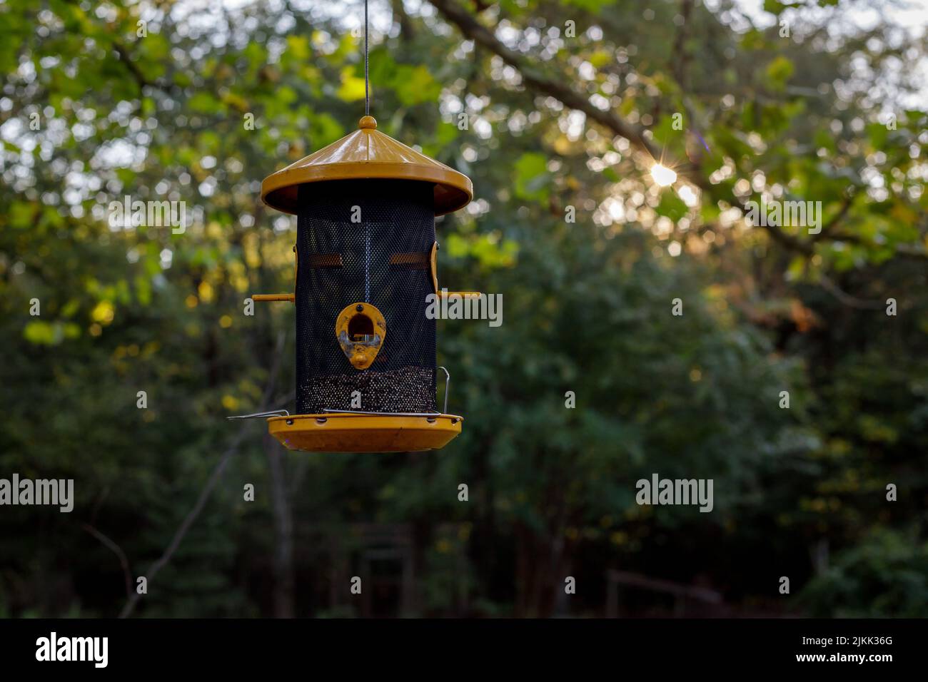 Un bel colpo di un alimentatore di uccelli arancio in giardino in una giornata di sole con sfondo sfocato Foto Stock