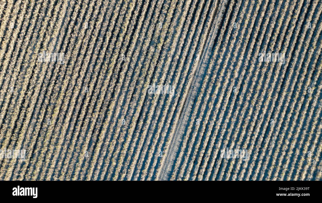Un'immagine aerea di grandi terre arate, texture per lo sfondo Foto Stock