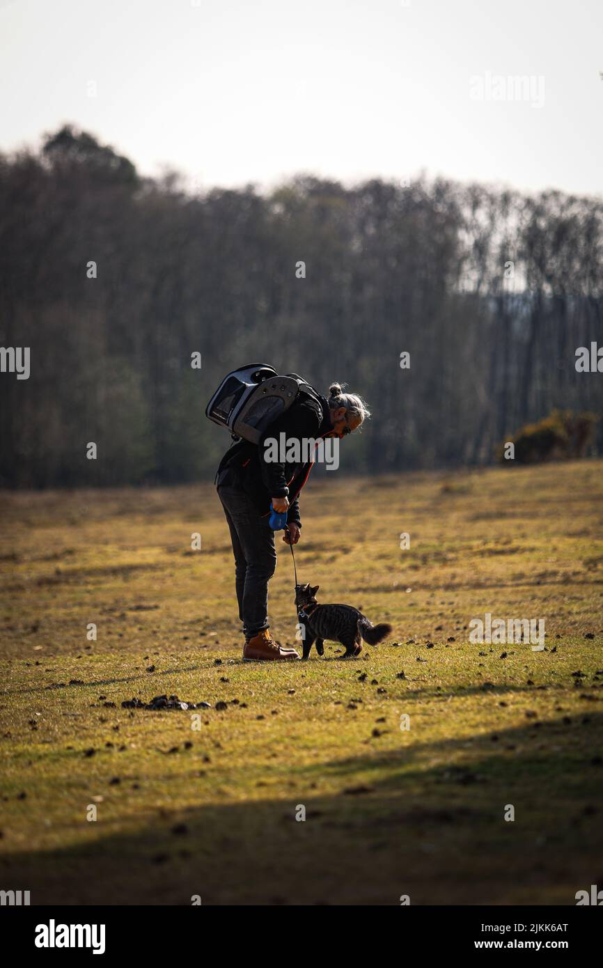 Un colpo verticale di un uomo che cammina nella natura con il suo gatto Foto Stock