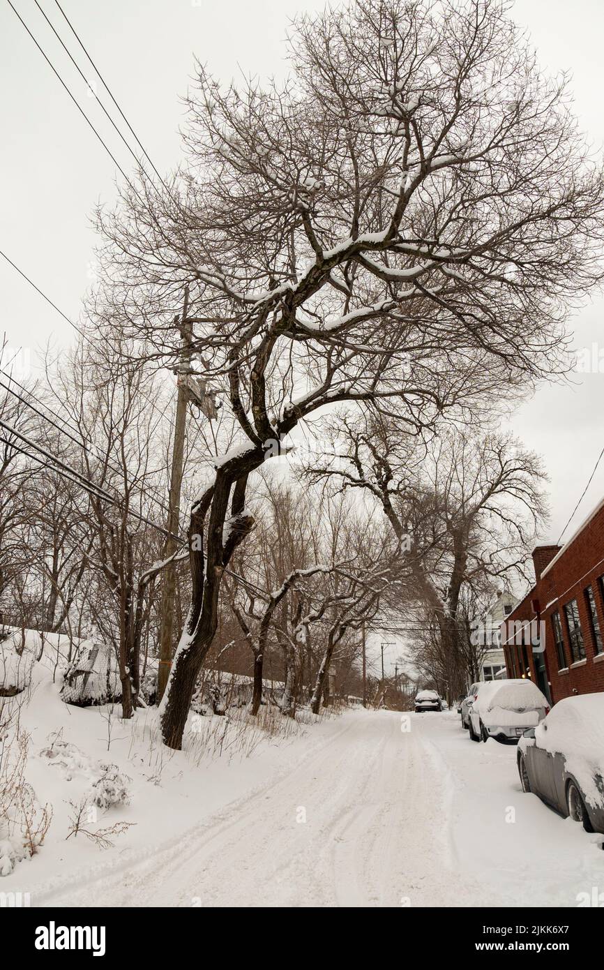 La strada innevata del villaggio con le automobili coperte di neve a Chicago, Illinois Foto Stock