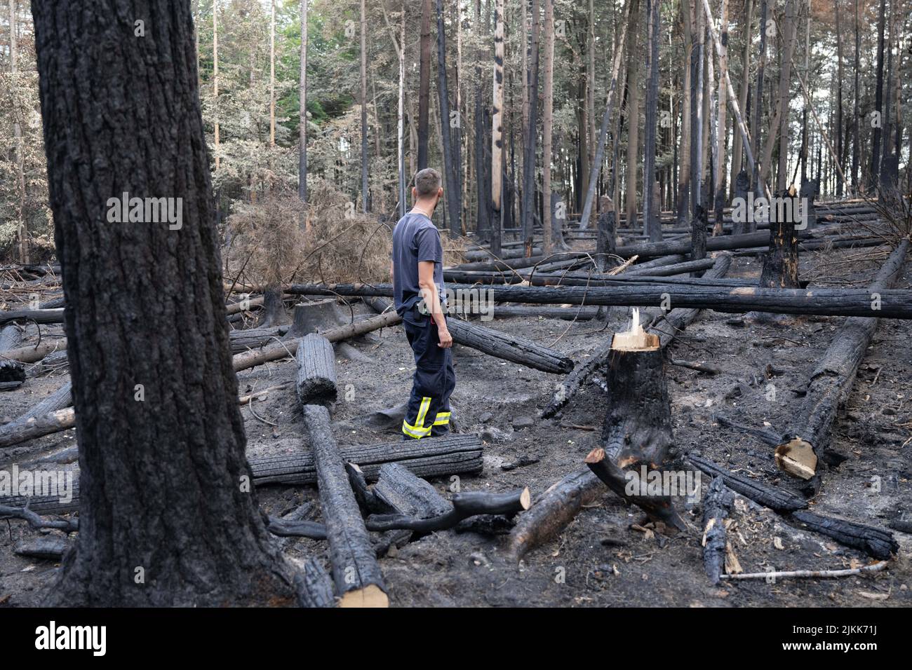 Schmilka, Germania. 02nd ago 2022. Un vigile del fuoco effettua un'indagine sui danni provocati dagli incendi nella zona centrale del Parco Nazionale della Svizzera sassone presso il Großer Winterberg, nella zona di confine tra Germania e Repubblica Ceca. Credit: Sebastian Kahnert/dpa/Alamy Live News Foto Stock
