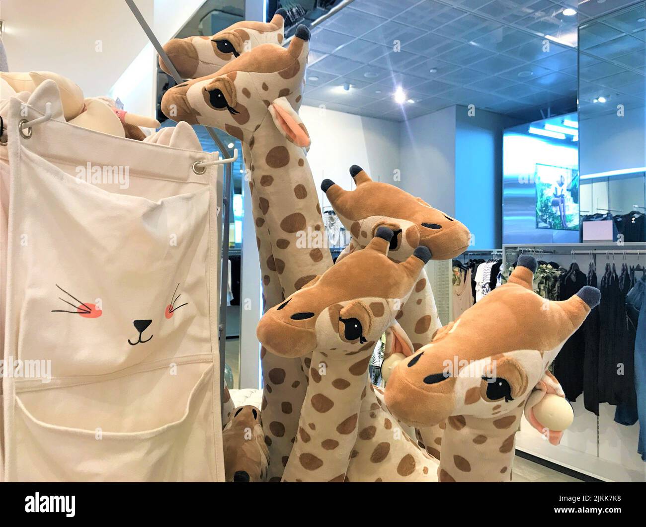 Mosca, Russia, 2019 giugno: Un sacco di peluche giocattolo giraffe a collo lungo guardare fuori, accanto a loro - tasche in tessuto con un muso di un gatto, contro il backgro Foto Stock