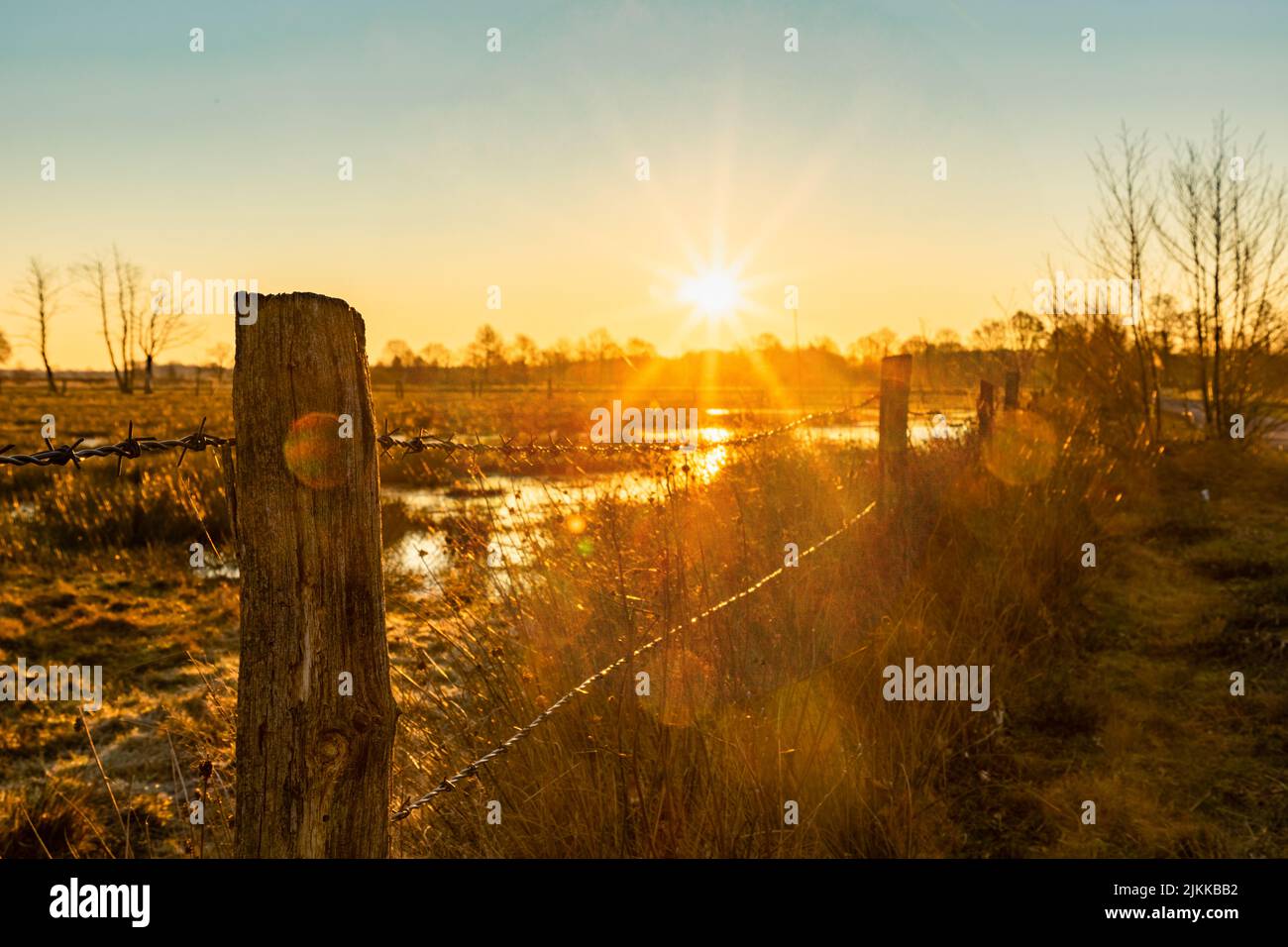 alba invernale colorata su un campo con recker recker recker recker moor germania Foto Stock
