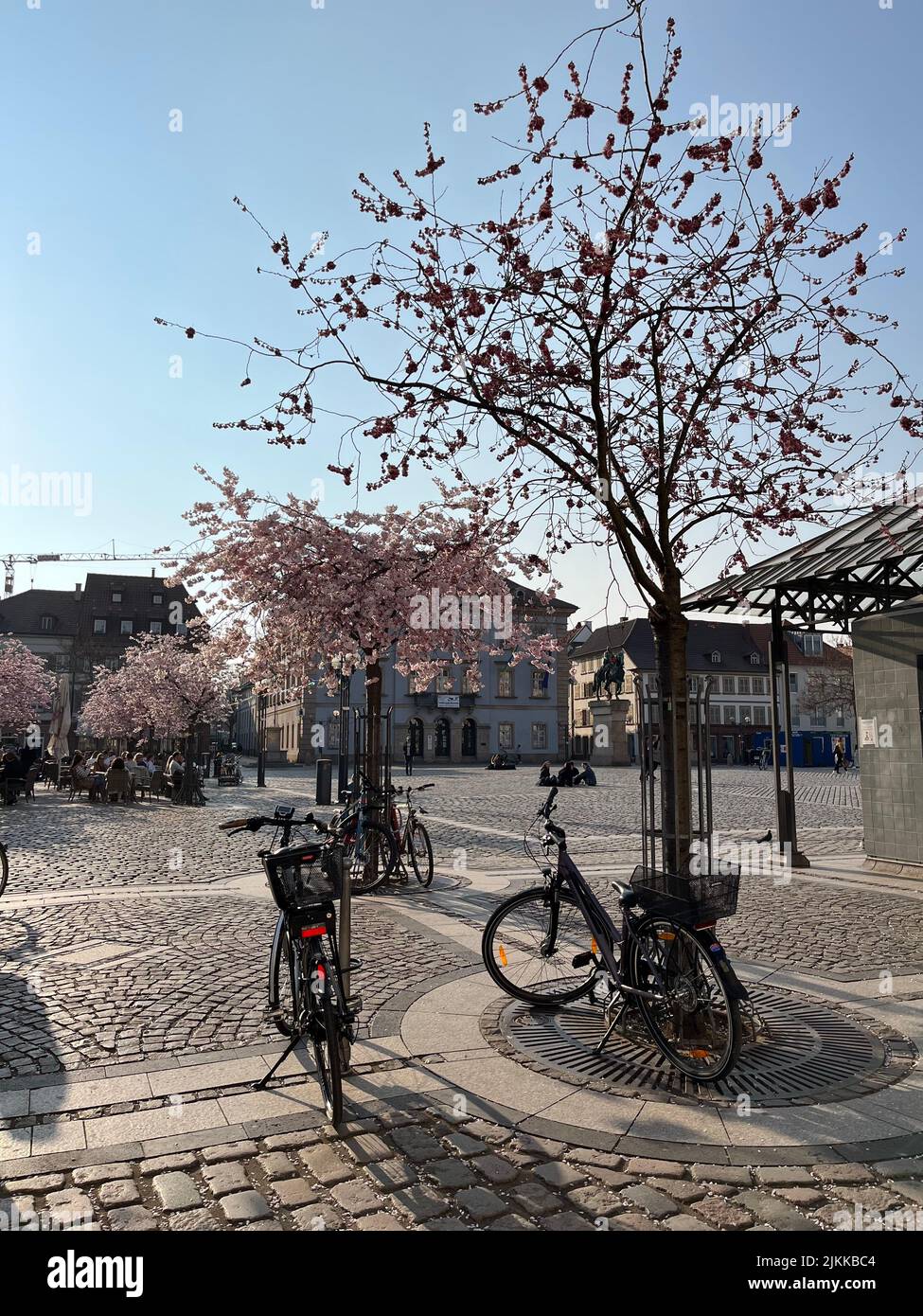 Le biciclette parcheggiate nella piazza e alberi fioriti Foto Stock