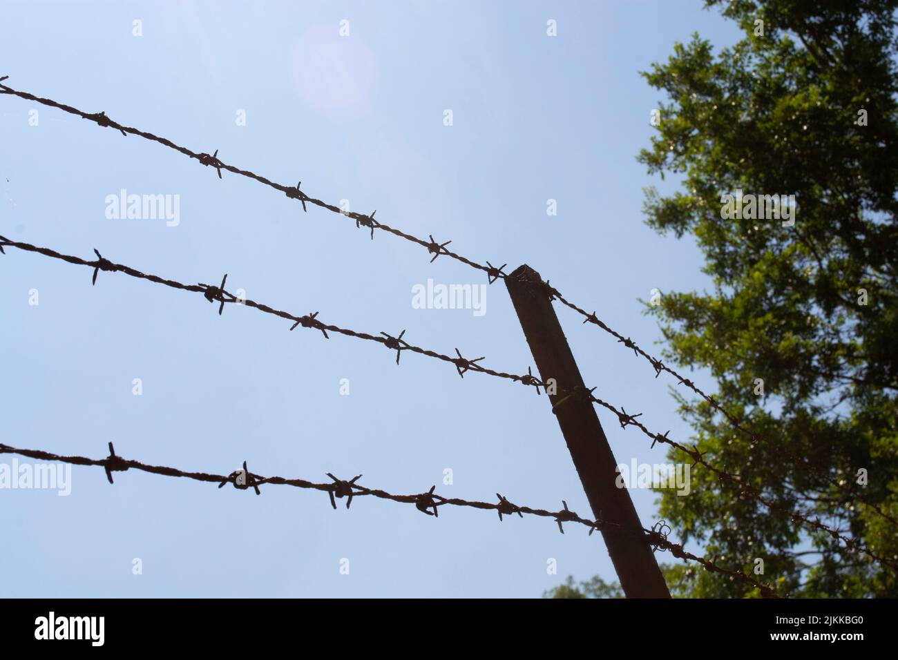 Recinzione di filo spinato arrugginito con sfondo cielo e albero Foto Stock