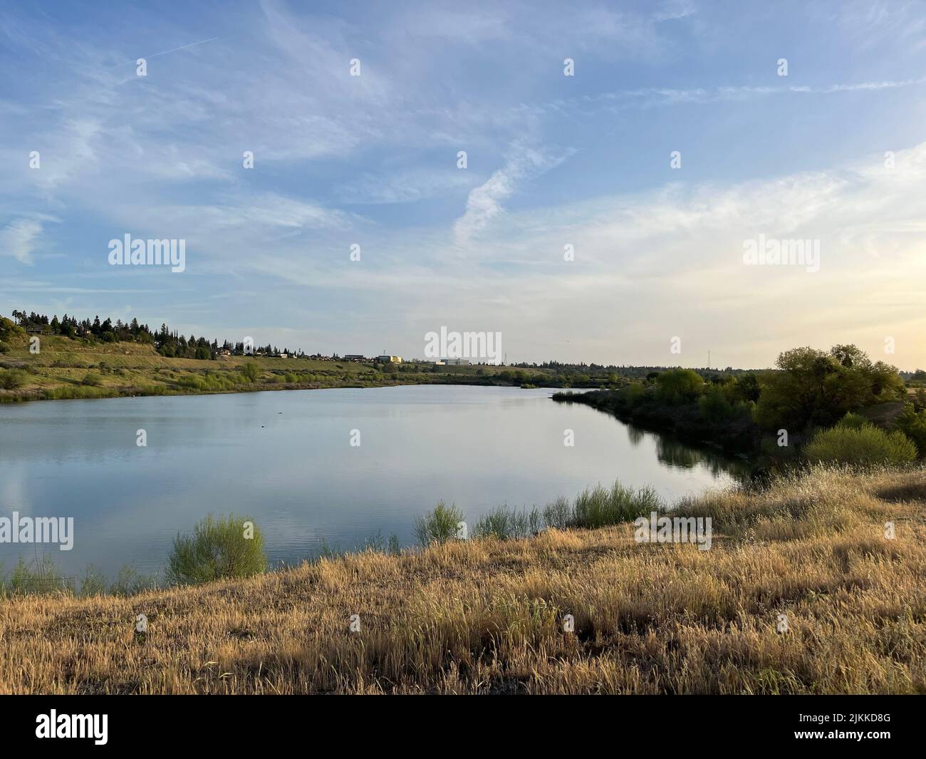 Una bella vista di uno stagno nel mezzo di un campo a Fresno, Stati Uniti. Foto Stock