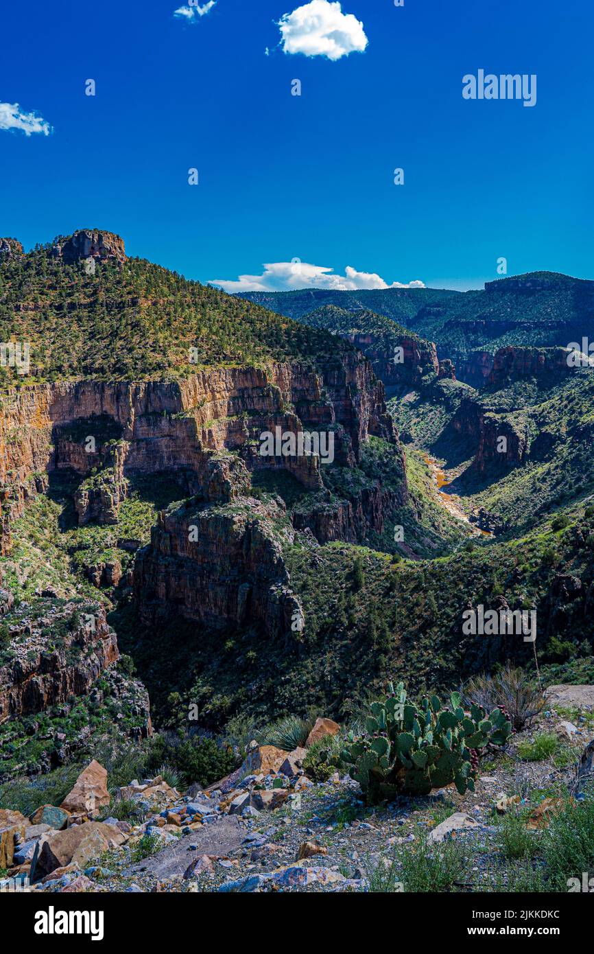 Uno scatto verticale dello splendido Salt River Canyon coperto di verde in Arizona Foto Stock