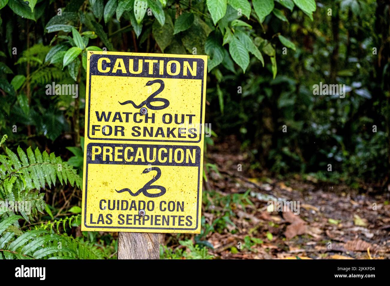Un avvertimento giallo segno da serpenti con testi neri in inglese e spagnolo da piante verdi nei boschi Foto Stock