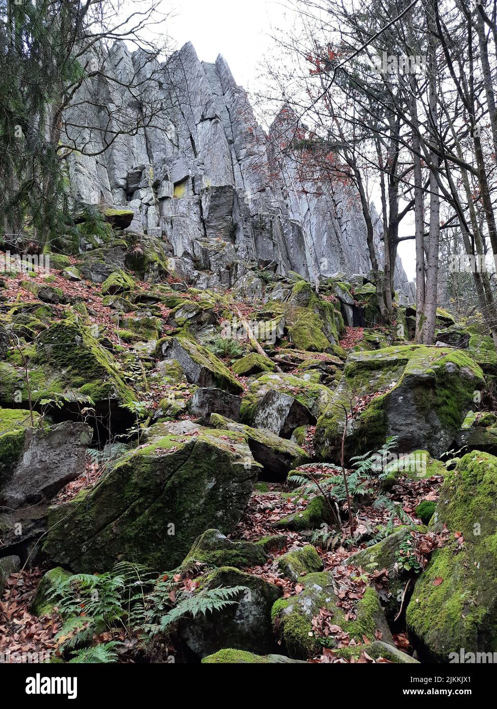 Un colpo verticale di rocce e alberi pustolosi sul monte Steinwand in Assia, Germania Foto Stock