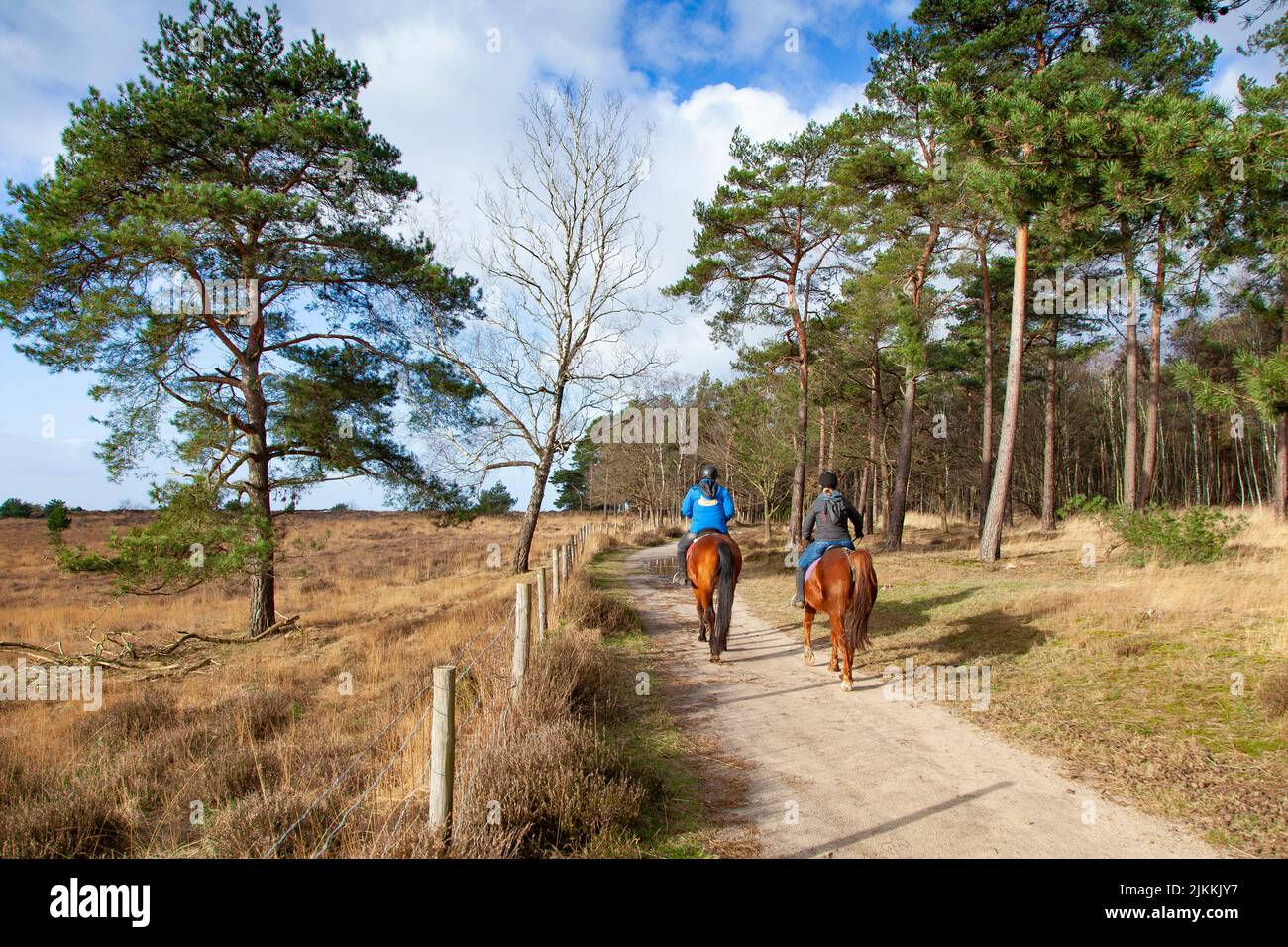 Due persone a cavallo su un sentiero di campagna Foto Stock