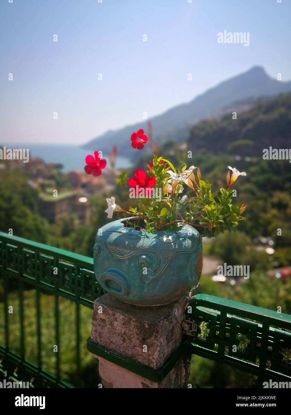 Un colpo verticale di rocktrumbet e gelsomini nella pentola blu contro lo scenario della città Foto Stock