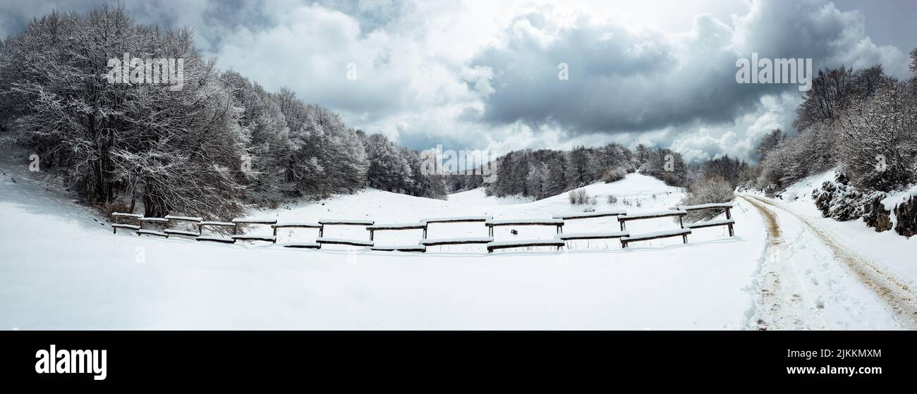 Il colpo panoramico della recinzione in legno contro la foresta innevata e il cielo nuvoloso. Prada Monte Baldo, Italia. Foto Stock