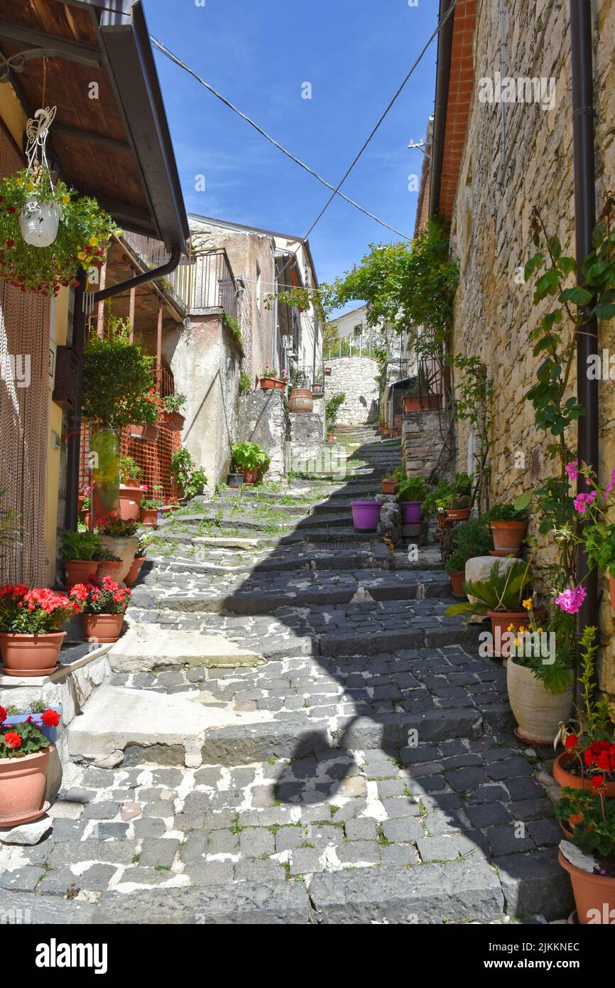 Una scala medievale e uno stretto vicolo con piante a vaso tra le case del villaggio di Macchiagodena in Molise, Italia Foto Stock