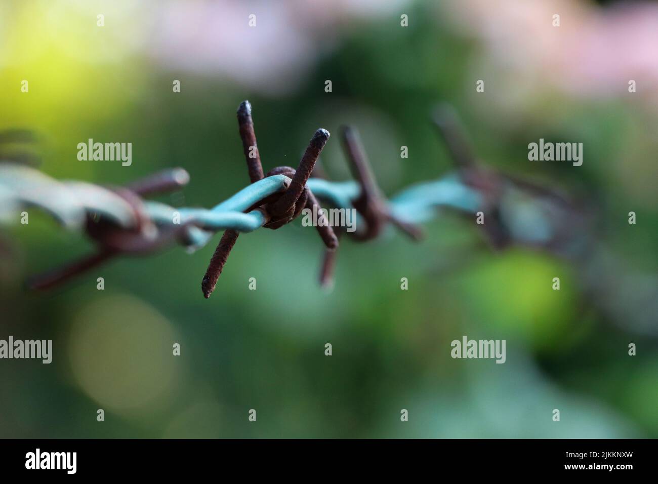 un primo piano di filo graffiato da arrugginito. Foto Stock