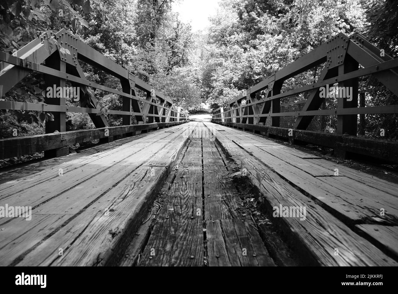 Un'immagine in scala di grigi di un lungo ponte di legno in una foresta Foto Stock