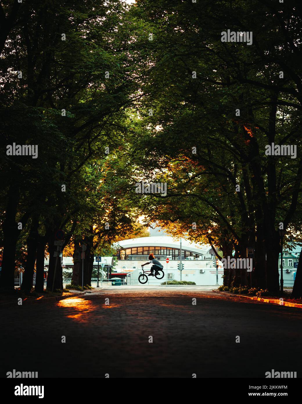 Uno scatto verticale di un viale durante il tramonto con un motociclista BMX che salta Foto Stock