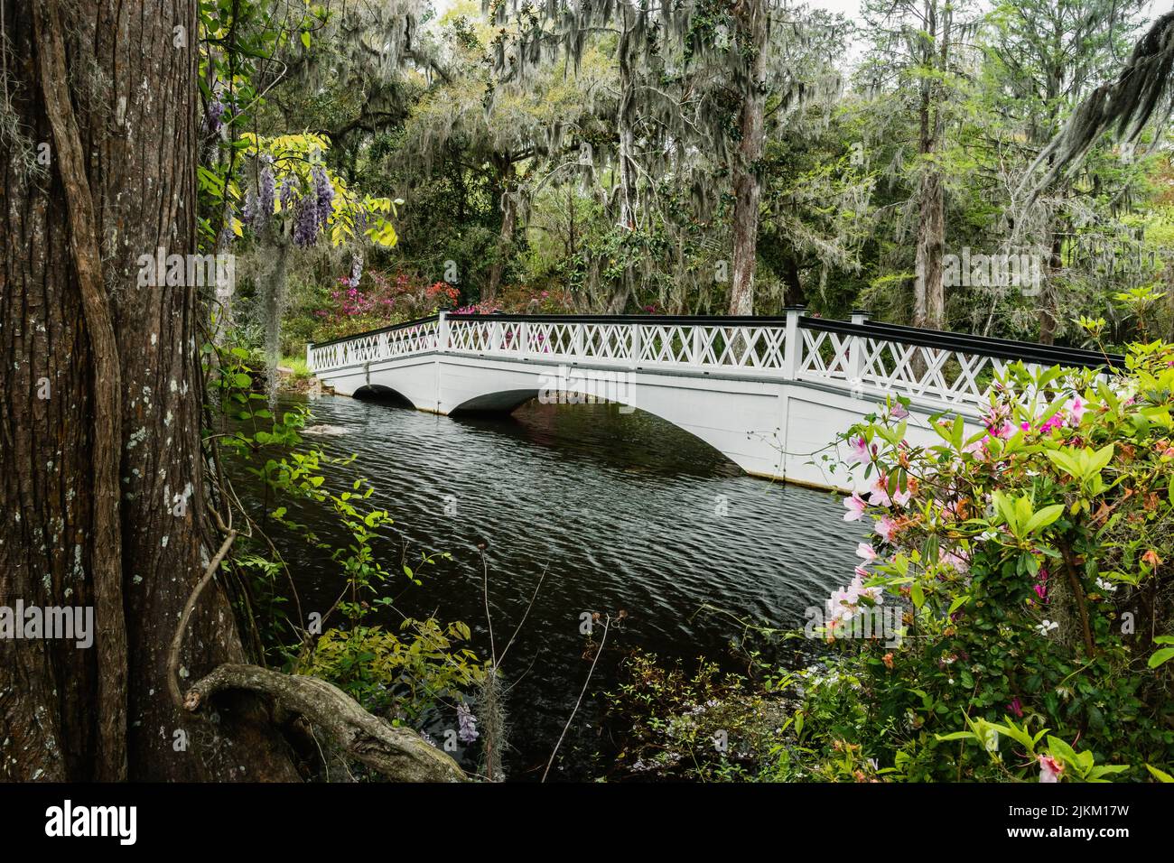 Il ponte sul fiume Ashley nella Magnolia Plantation and Gardens a Charleston, USA Foto Stock