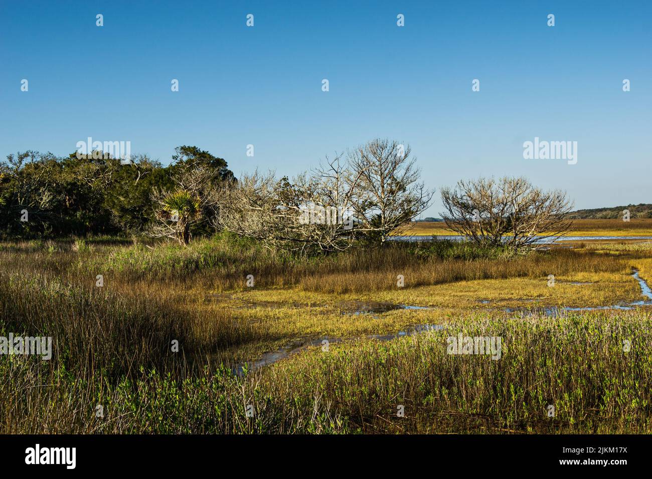 Una vista panoramica di un fiume che scorre attraverso un campo aperto sotto un cielo blu senza nuvole Foto Stock