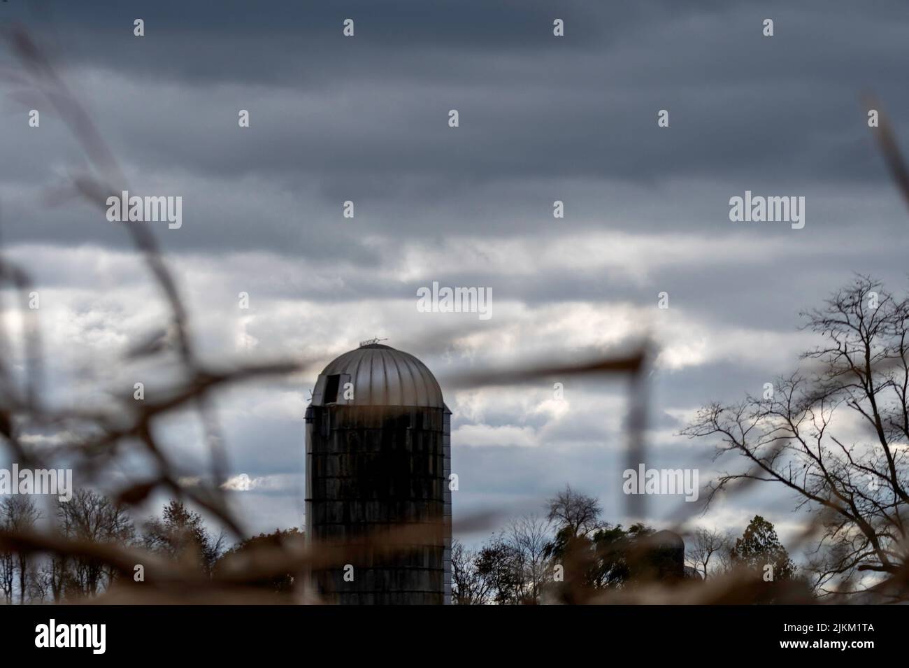 Un osservatorio contro un cielo cupo con rami non focalizzati in primo piano Foto Stock