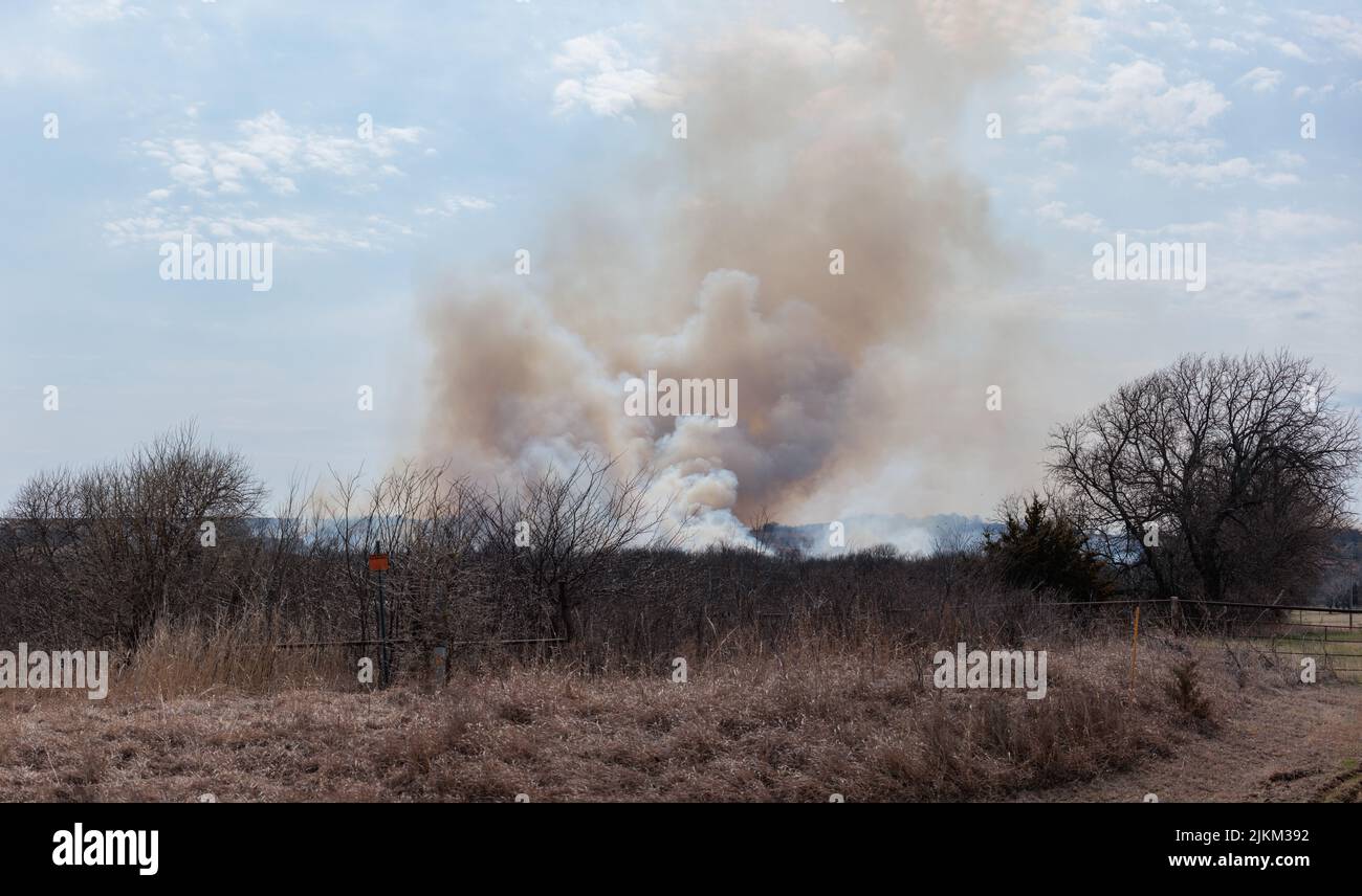Plumes di fumo da un fuoco di erba che brucia la gamma in Kansas rurale. Foto Stock