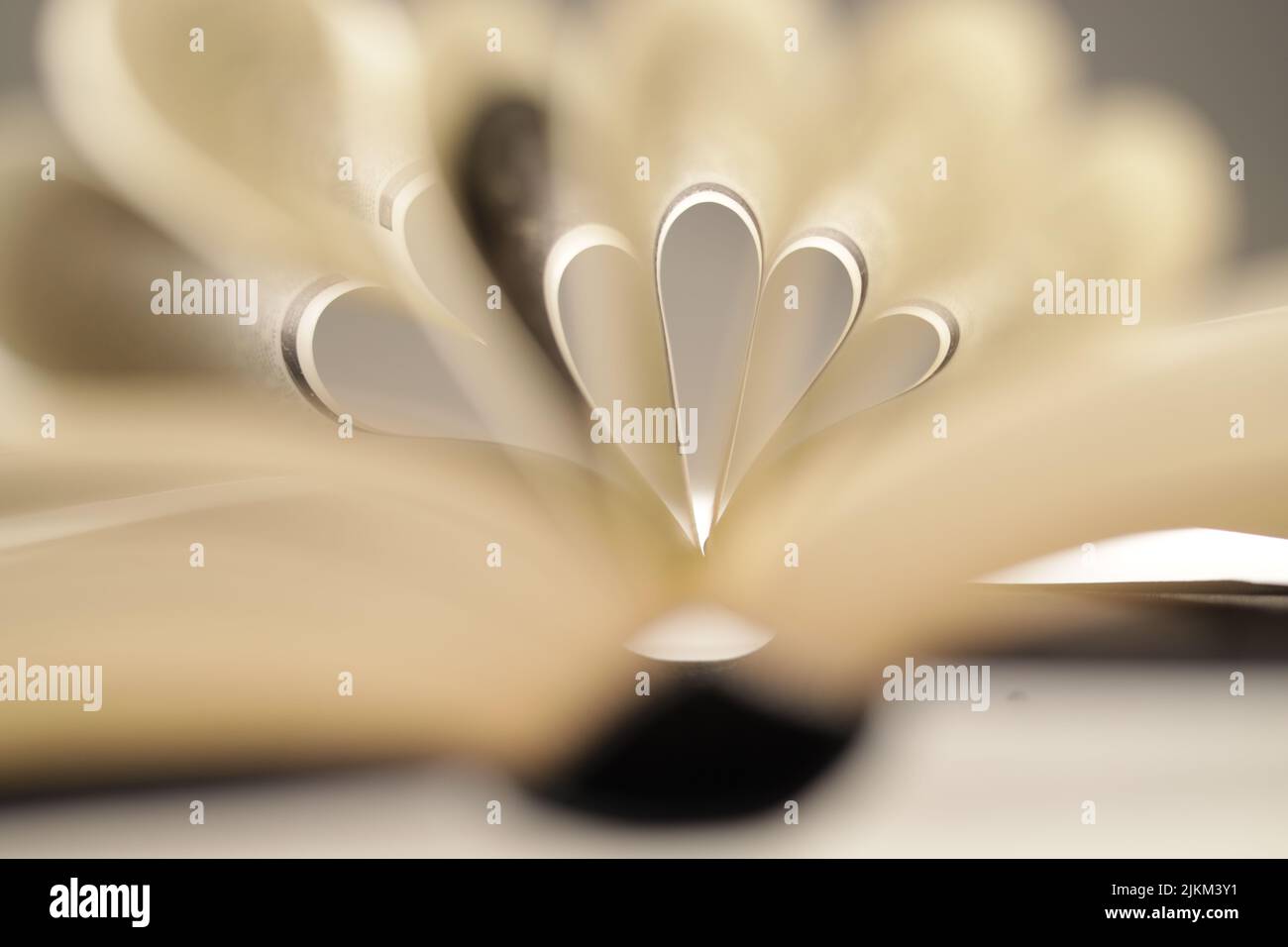 Immagine ravvicinata di pagine curve del libro sullo sfondo sfocato. Foto Stock