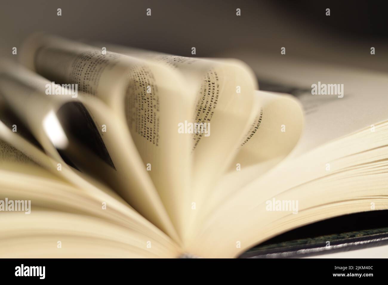 Primo piano di un libro aperto con pagine piegate a forma di cuore Foto Stock