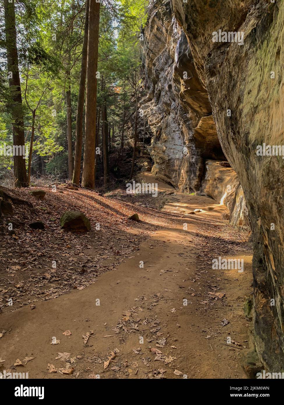 Uno scatto verticale di una grotta nella foresta con un sentiero non asfaltato Foto Stock