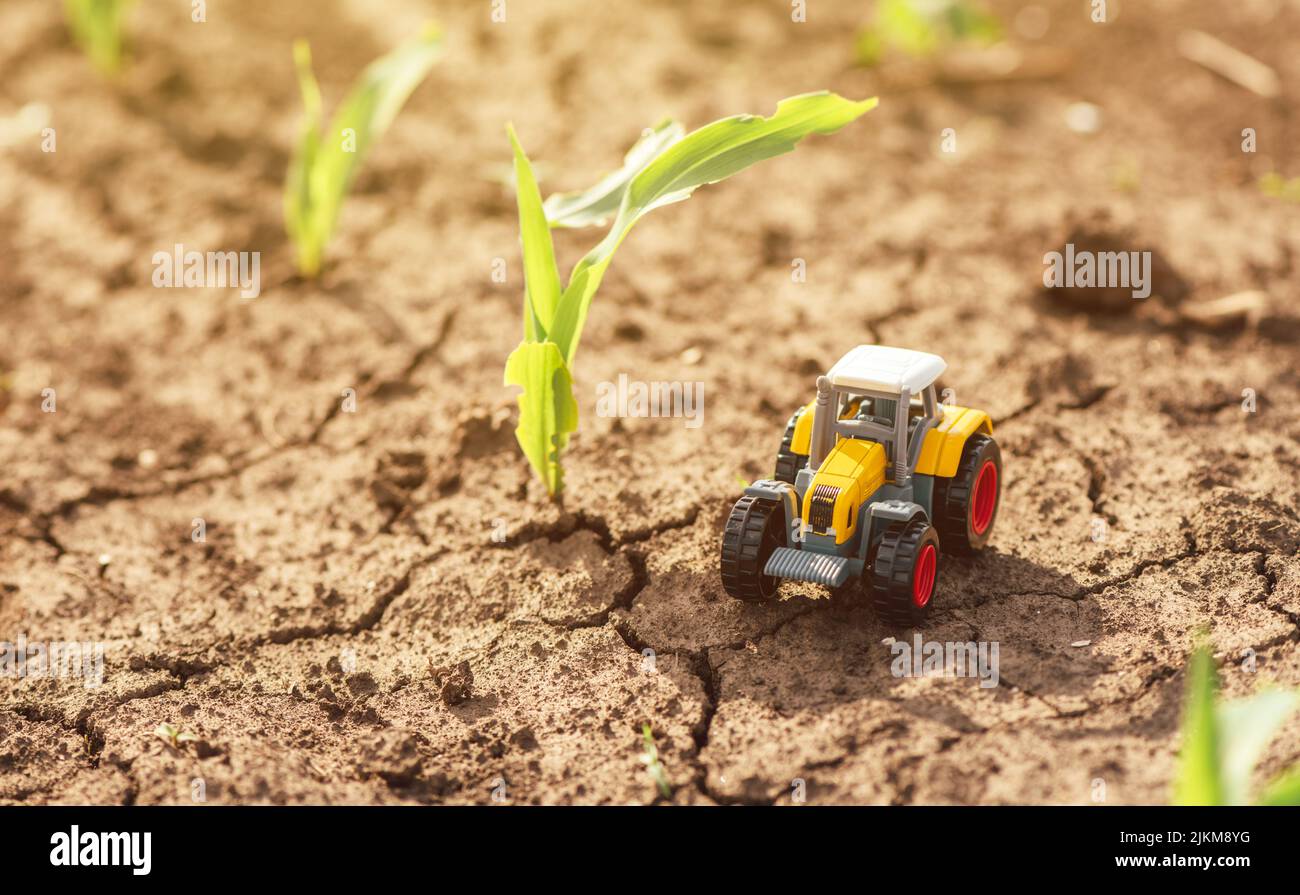 Giocattolo in miniatura per trattore pressofuso in campo di germogli di mais, fuoco selettivo Foto Stock