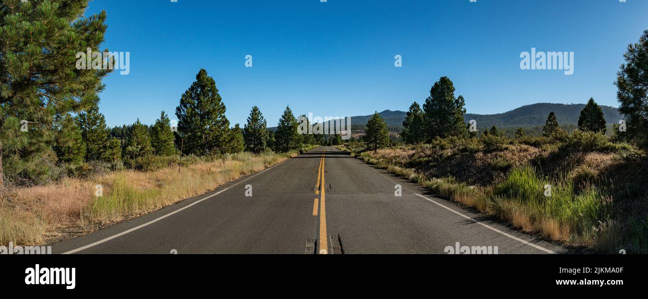 La strada a due corsie attraversa un prato di montagna nei boschi della California settentrionale. Foto Stock