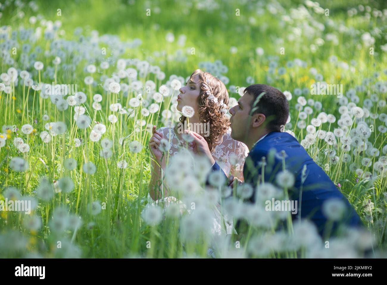 Un felice sposi novelli in un campo di dente di leone Foto Stock