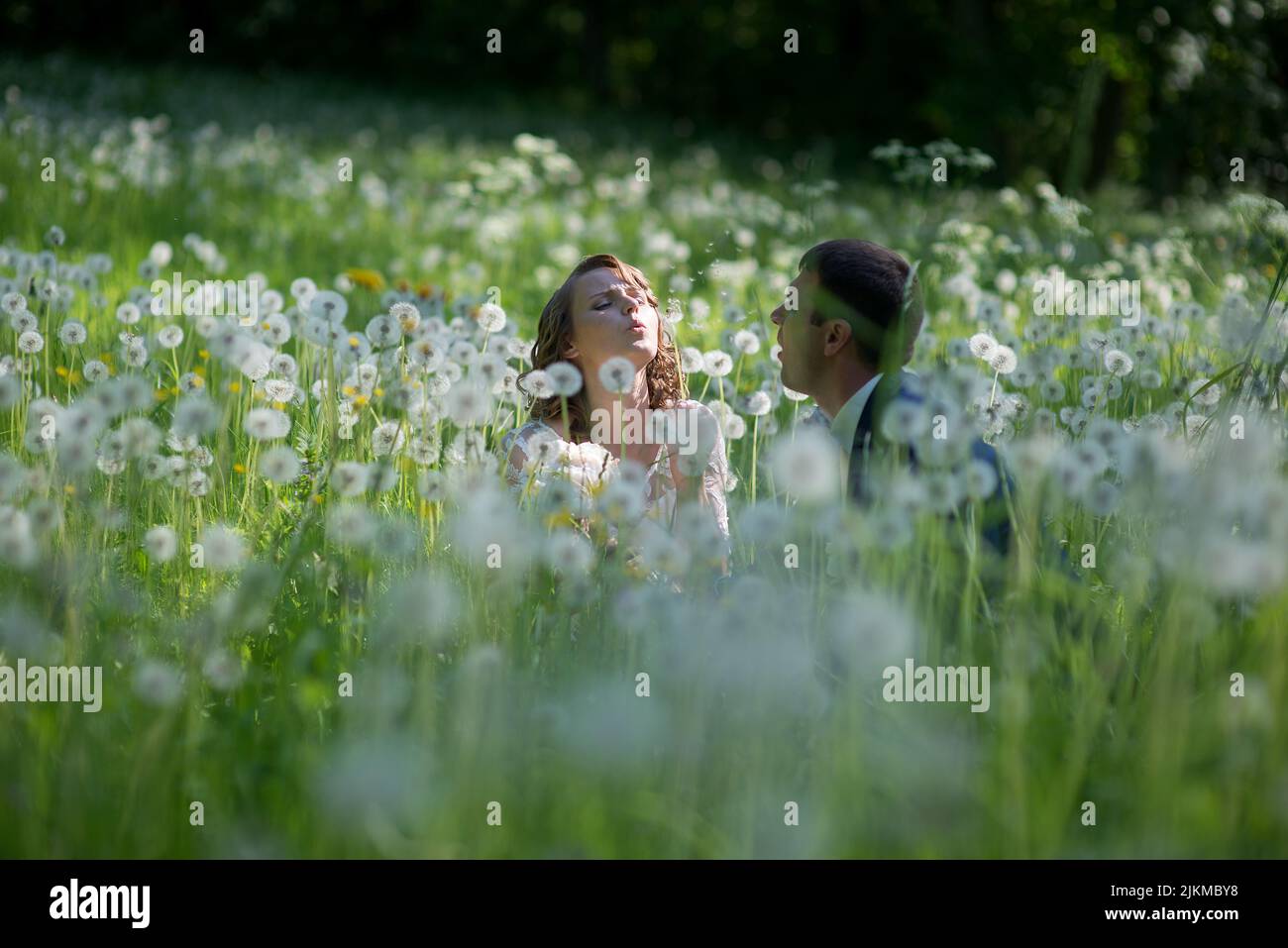 Un felice sposi novelli in un campo di dente di leone Foto Stock
