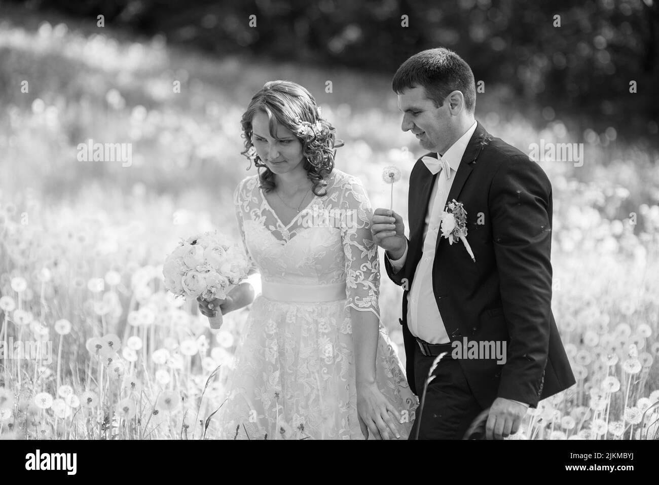 Un colpo in scala di grigi di sposi caucasici in un campo di dente di leone Foto Stock