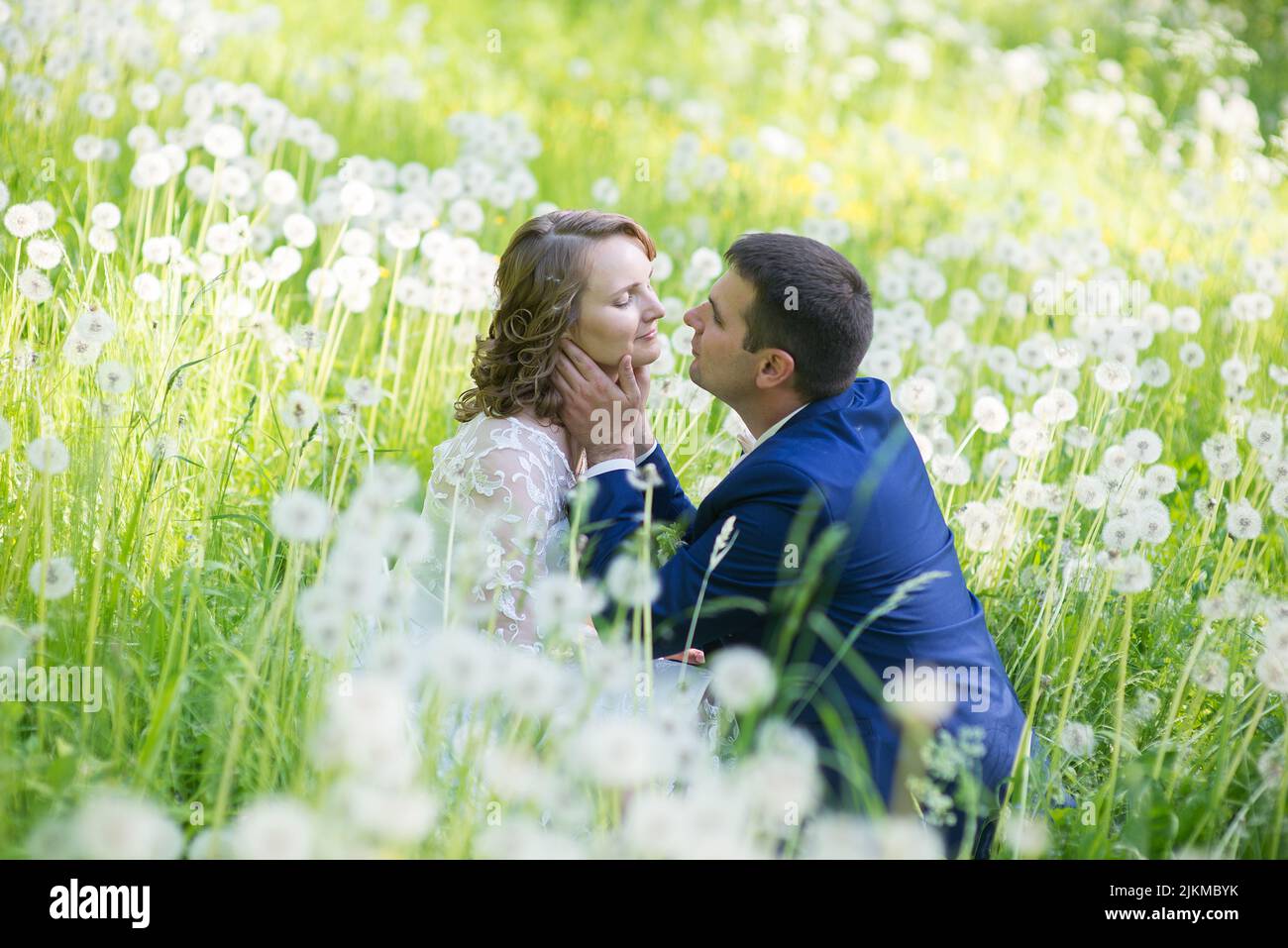 Un felice sposi che si baciano mentre si trovano in un campo di dente di leone Foto Stock