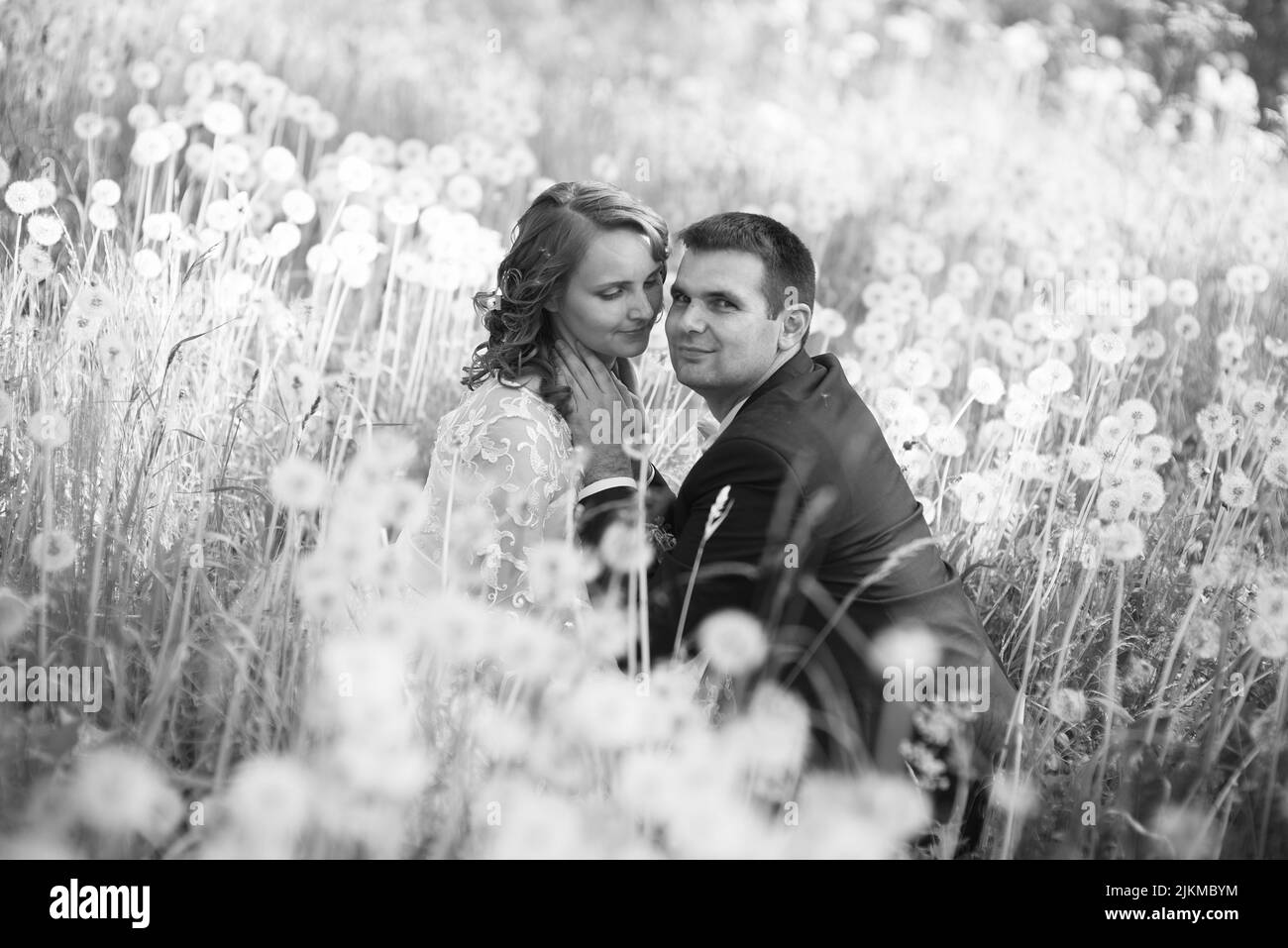 Un felice sposi novelli in un campo di dente di leone in scala di grigi Foto Stock