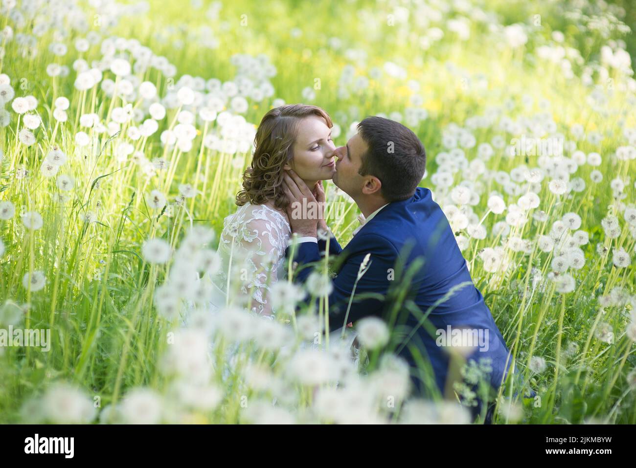 Un felice sposi che si baciano mentre si trovano in un campo di dente di leone Foto Stock
