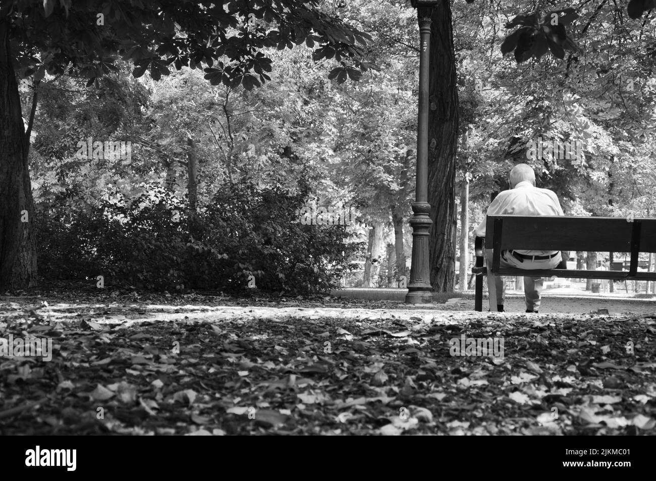 Un vecchio con capelli bianchi seduto su una panchina nel Parco del Retiro a Madrid, Spagna Foto Stock