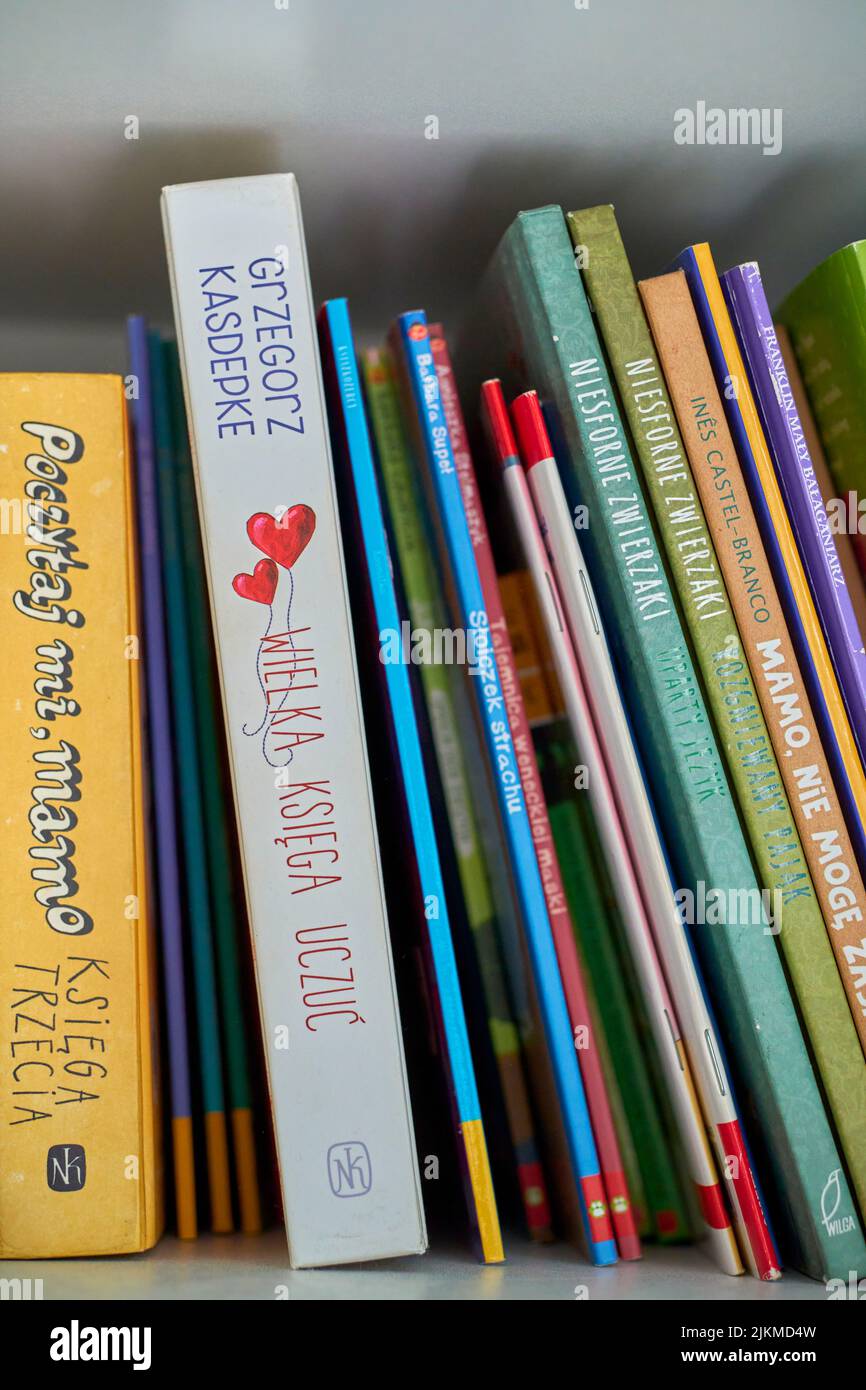 Una fila di colorati libri di storia polacchi su uno scaffale a Poznan, Polonia Foto Stock
