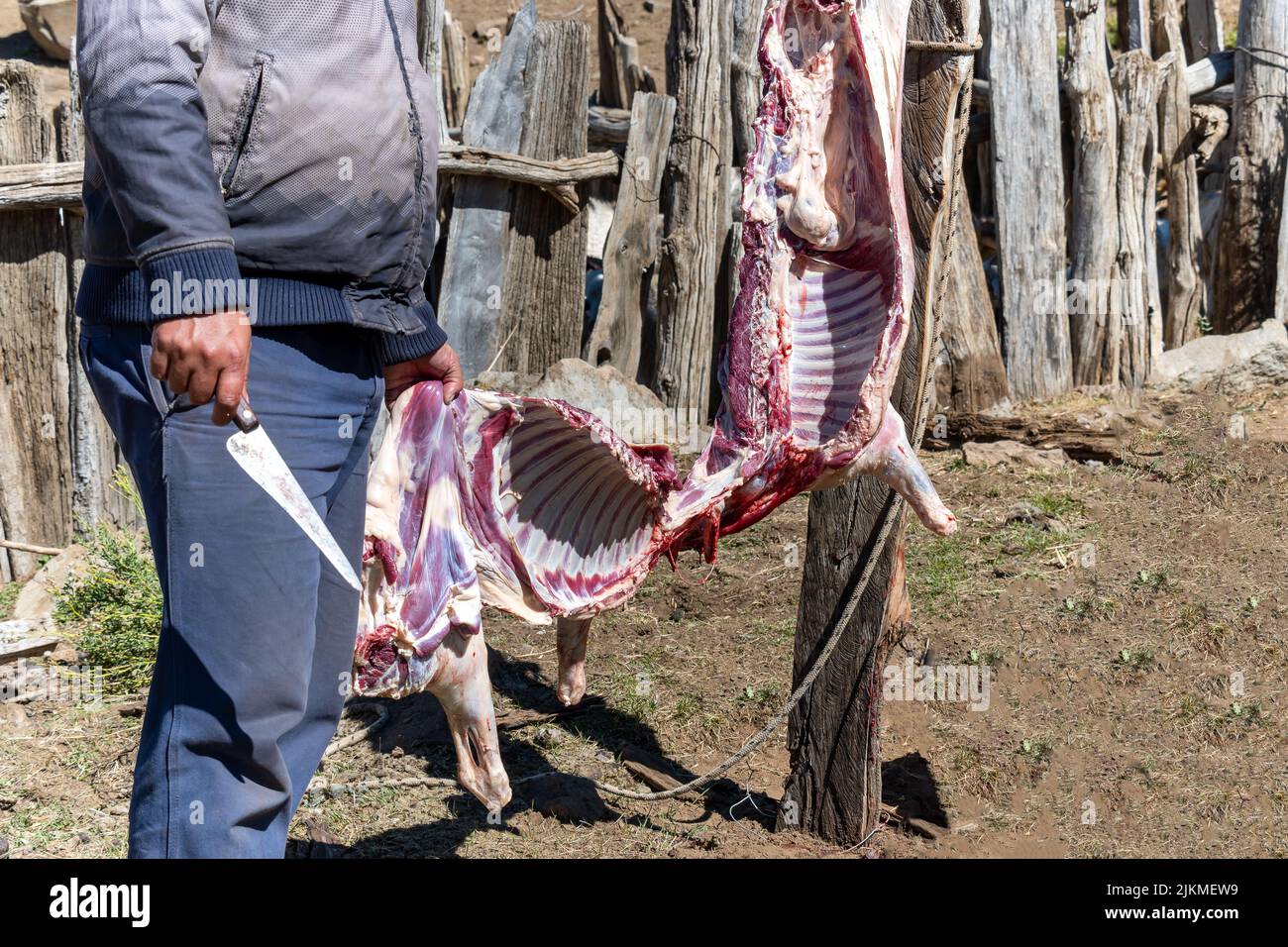 Gaucho argentino, macello (macello) capra. Mapuche città. Foto Stock