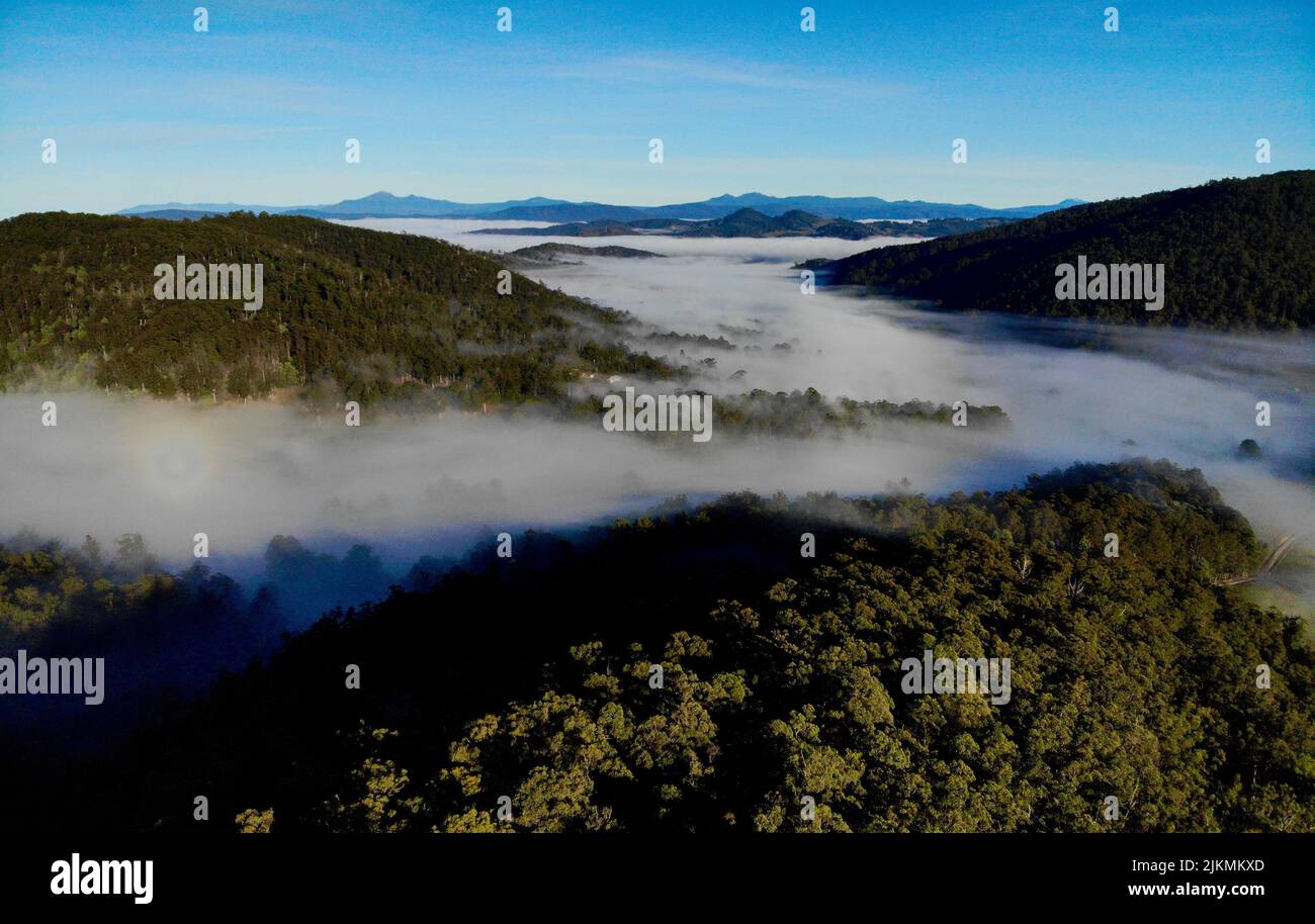 Una vista aerea dei boschi con alberi lussureggianti e vegetazione avvolta nella nebbia sullo sfondo blu del cielo Foto Stock