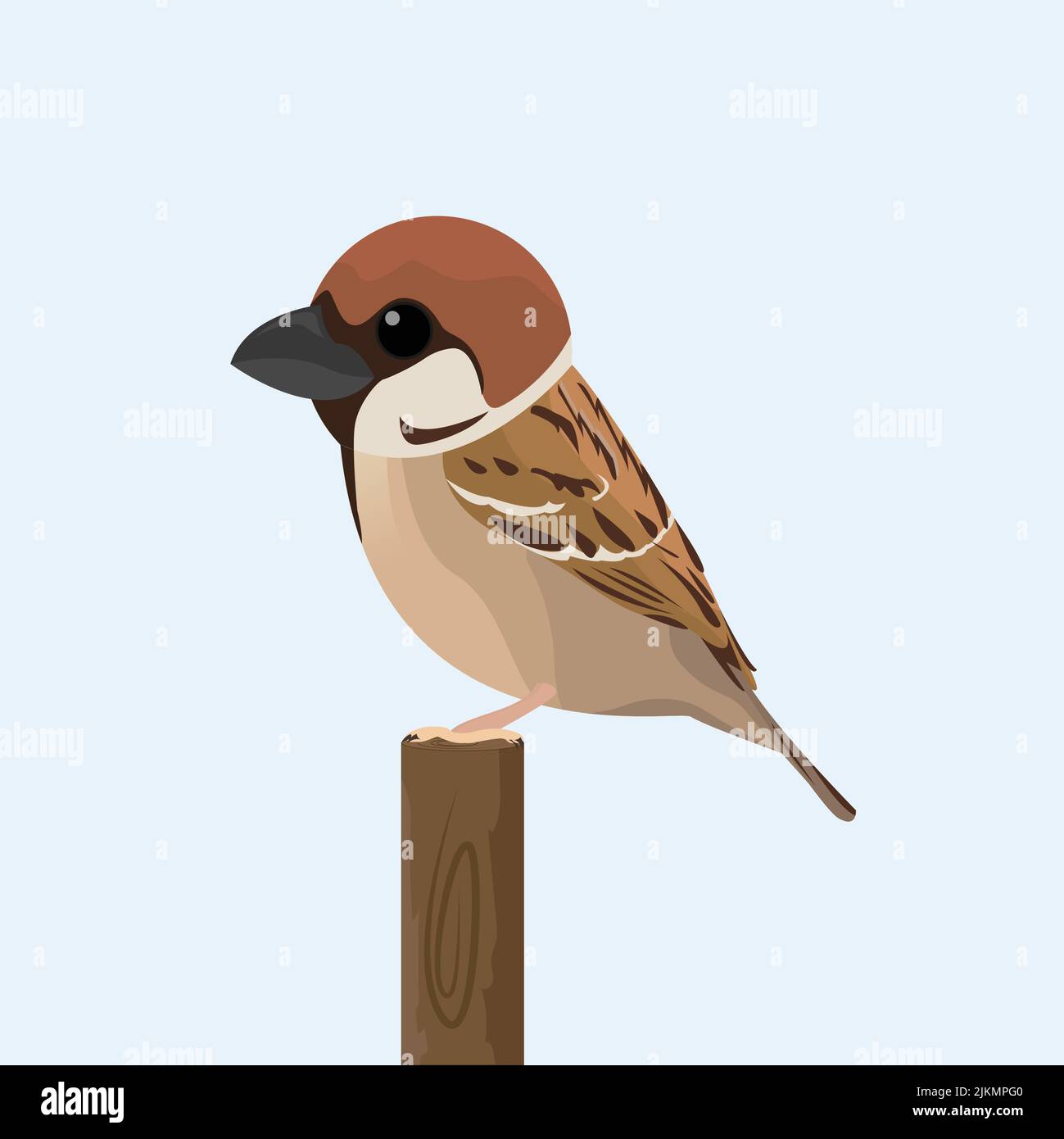 Illustrazione di Sparrow Illustrazione Vettoriale
