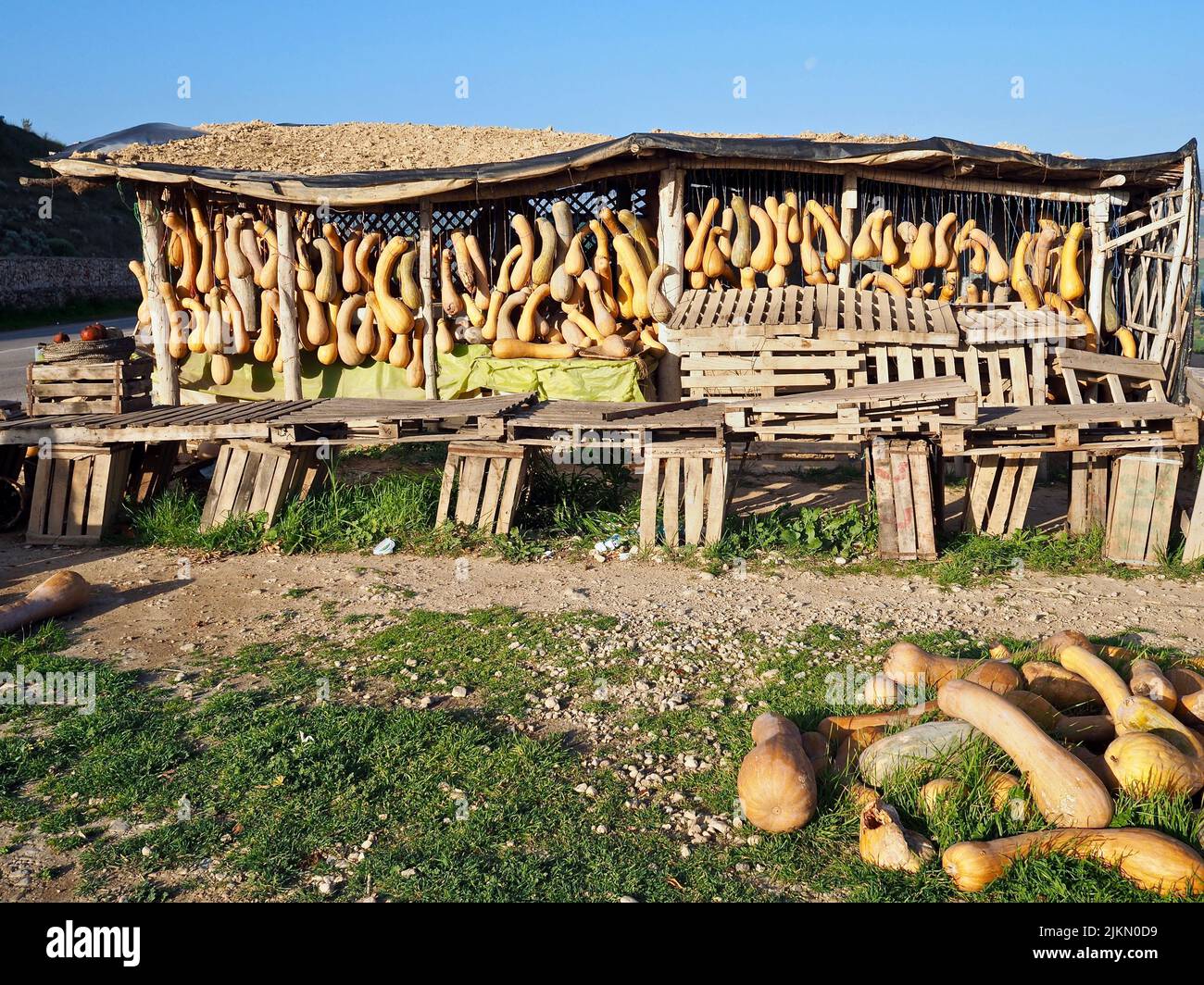 Una strada mercato stallo. Vendite di zucche in Marocco Foto Stock